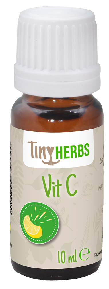 Zitrusfrucht, Obst, Produzieren, Kräuterig, Shaker