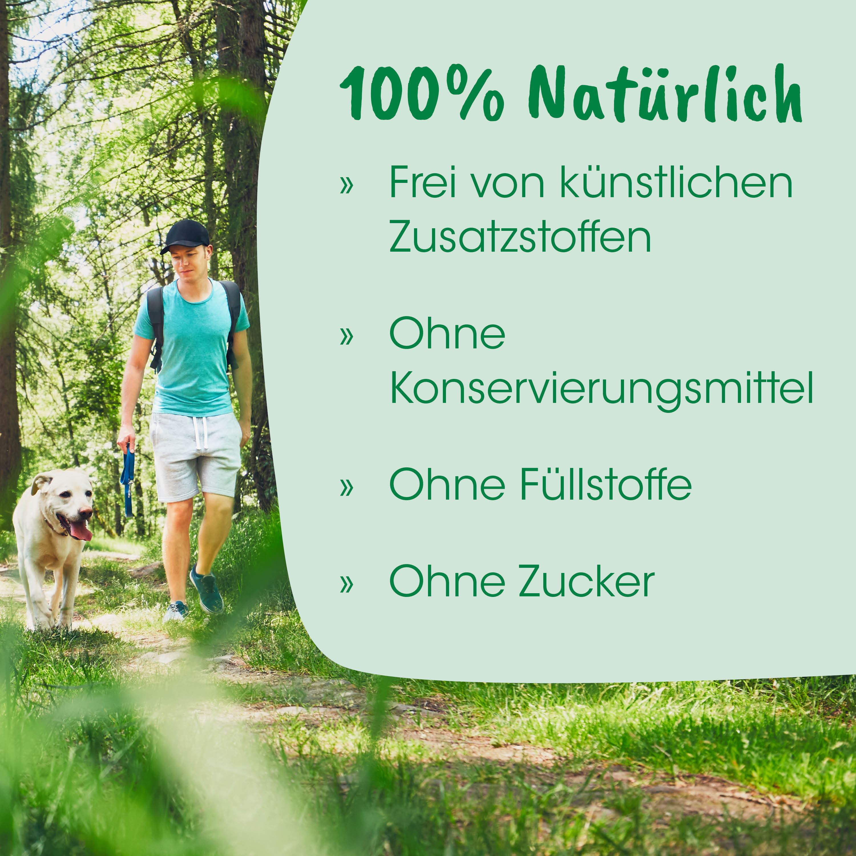 outdoor, wandern, hund, wald, t-shirt
