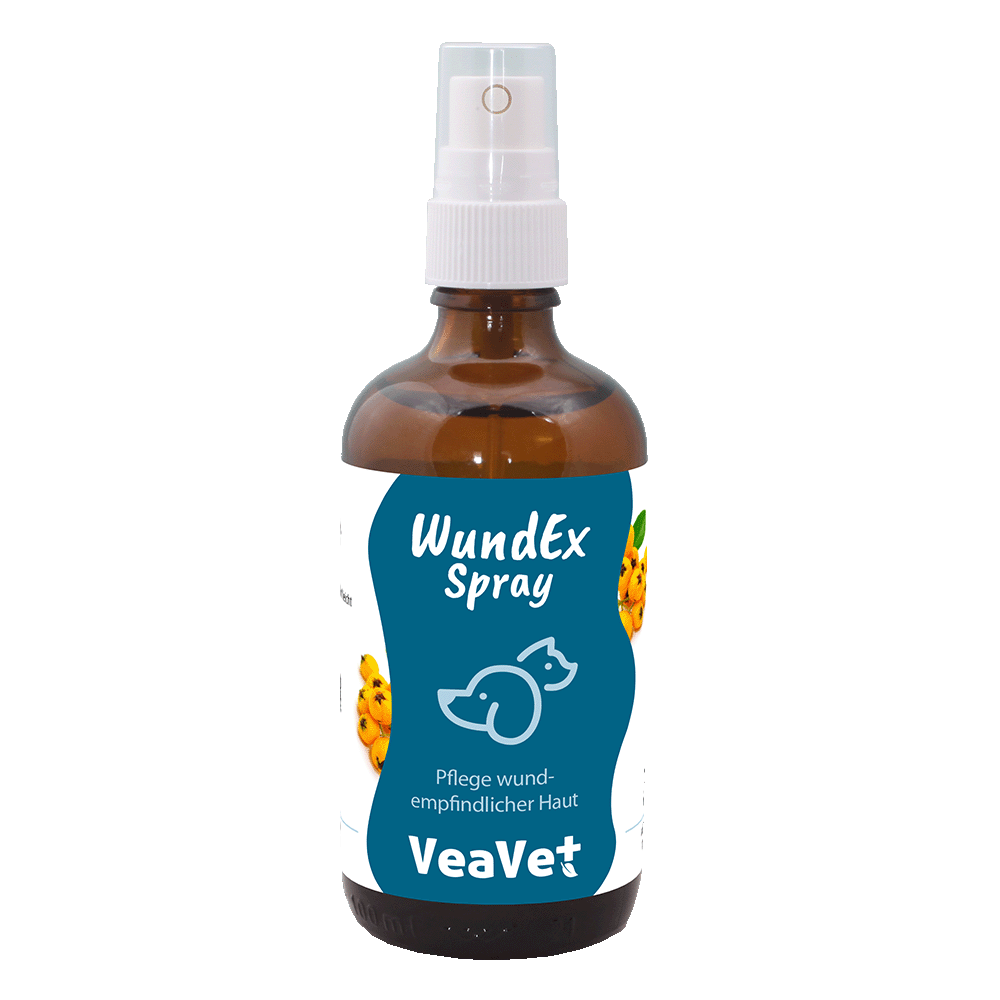 VeaVet PlaieEx Spray 100 ml