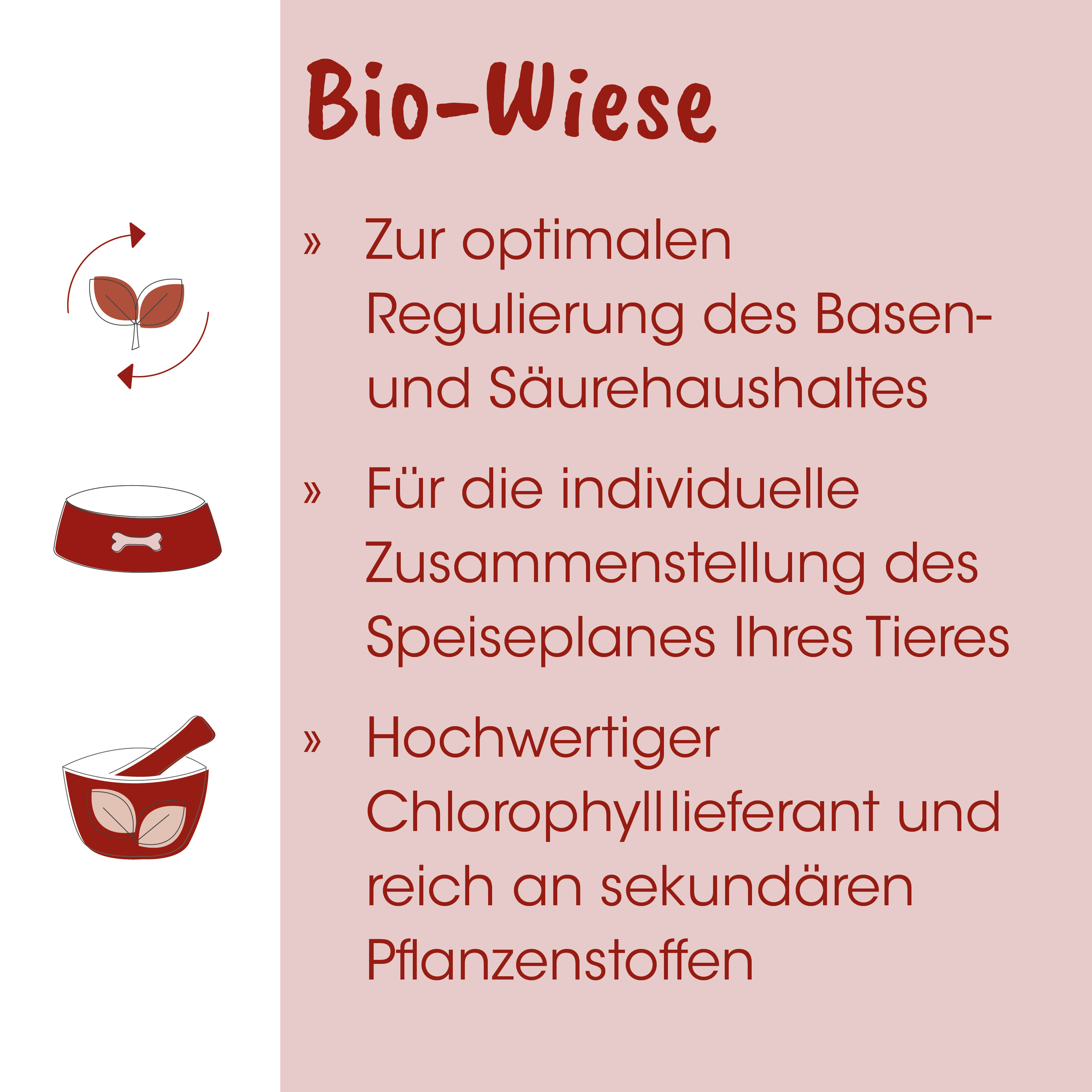 Bio-Wiese, Hunde,Futter, Tiernahrung, Futterschüssel, Pflanzenstoffe