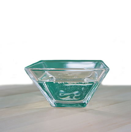 insectoVet Shampooing 200ml