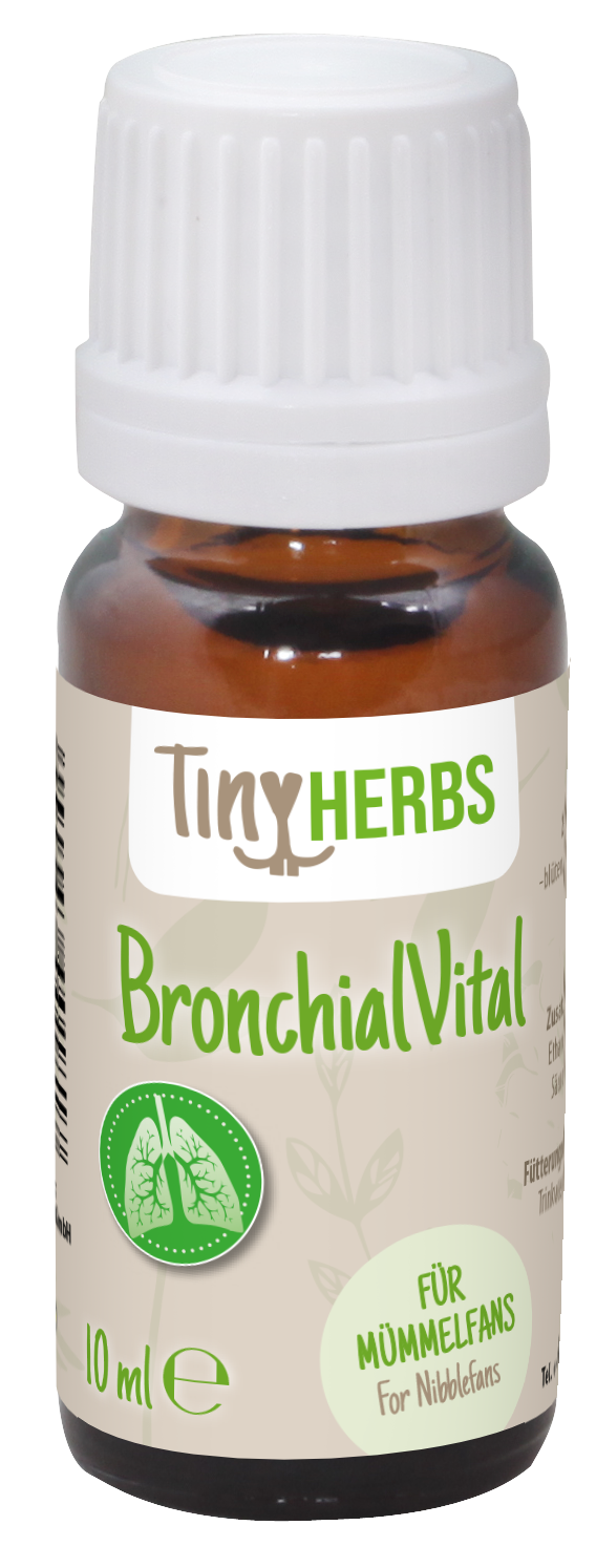 Kräuterig, Kräuter, Pflanze, Astragalus, Ketchup