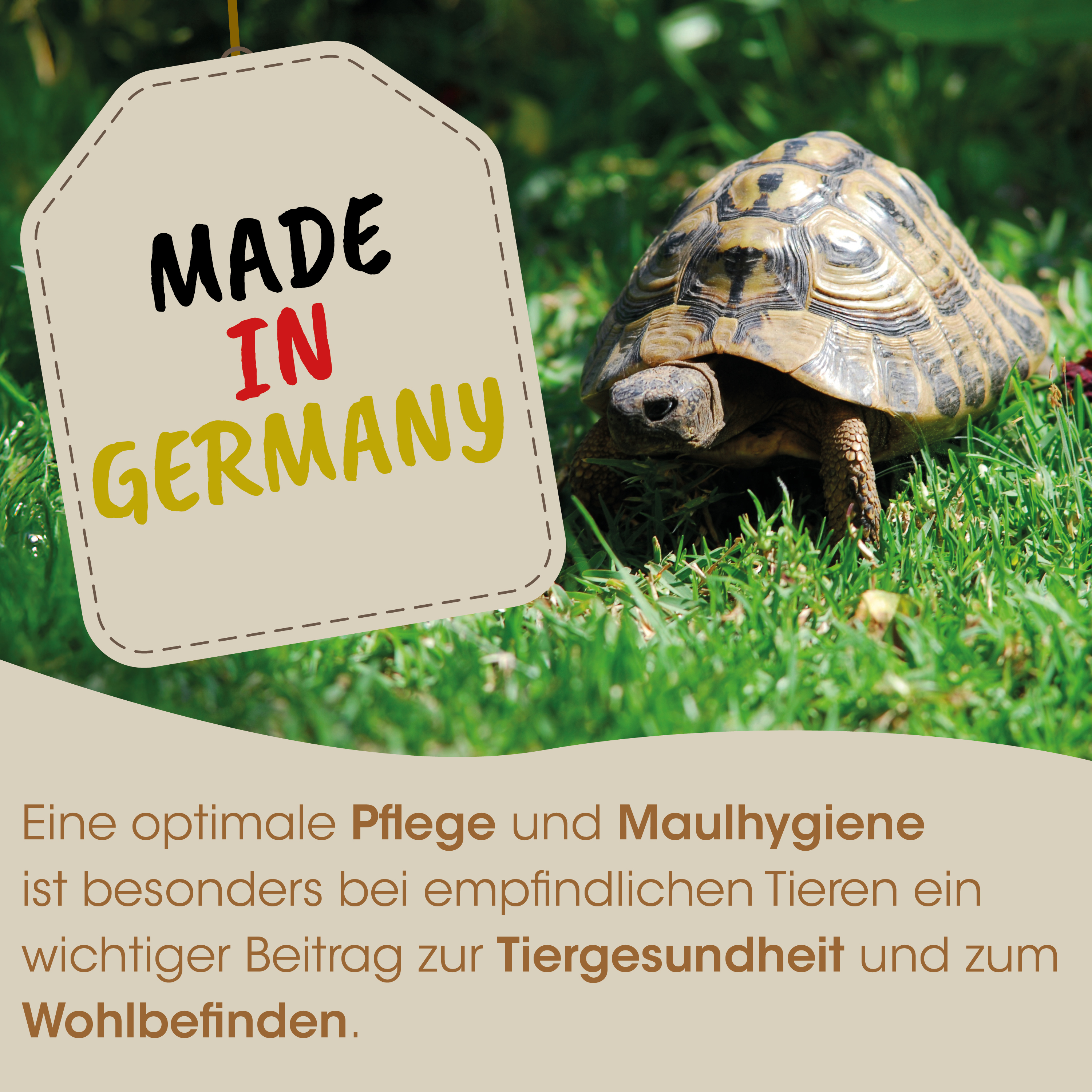 Schild, Made in Germany, Garten, Schildetikett, Kröte