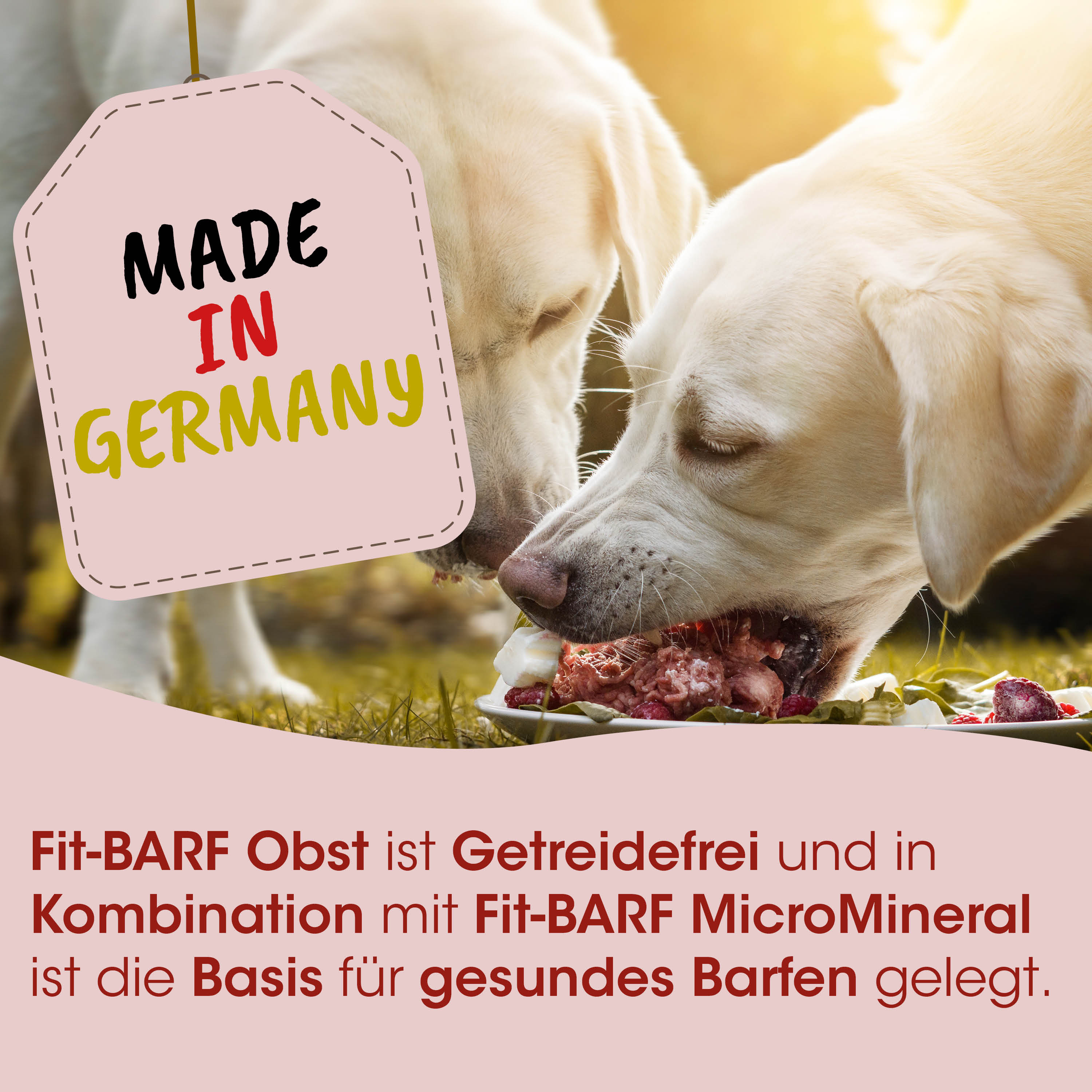 Hunde-Nassfutter, Getreidefrei, MicroMineral, gesundes Barfen, Made in Germany
