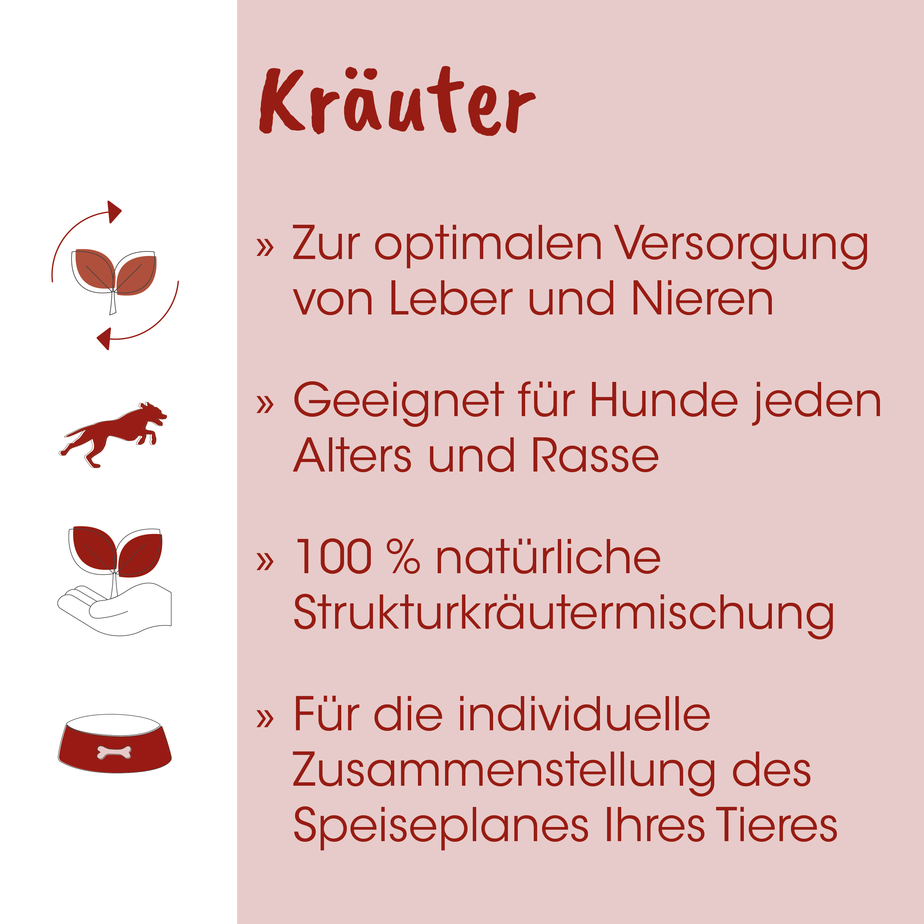 Kräuter, Tierfutter, Pflanzenlogo, Hund, Handfläche mit Pflanze