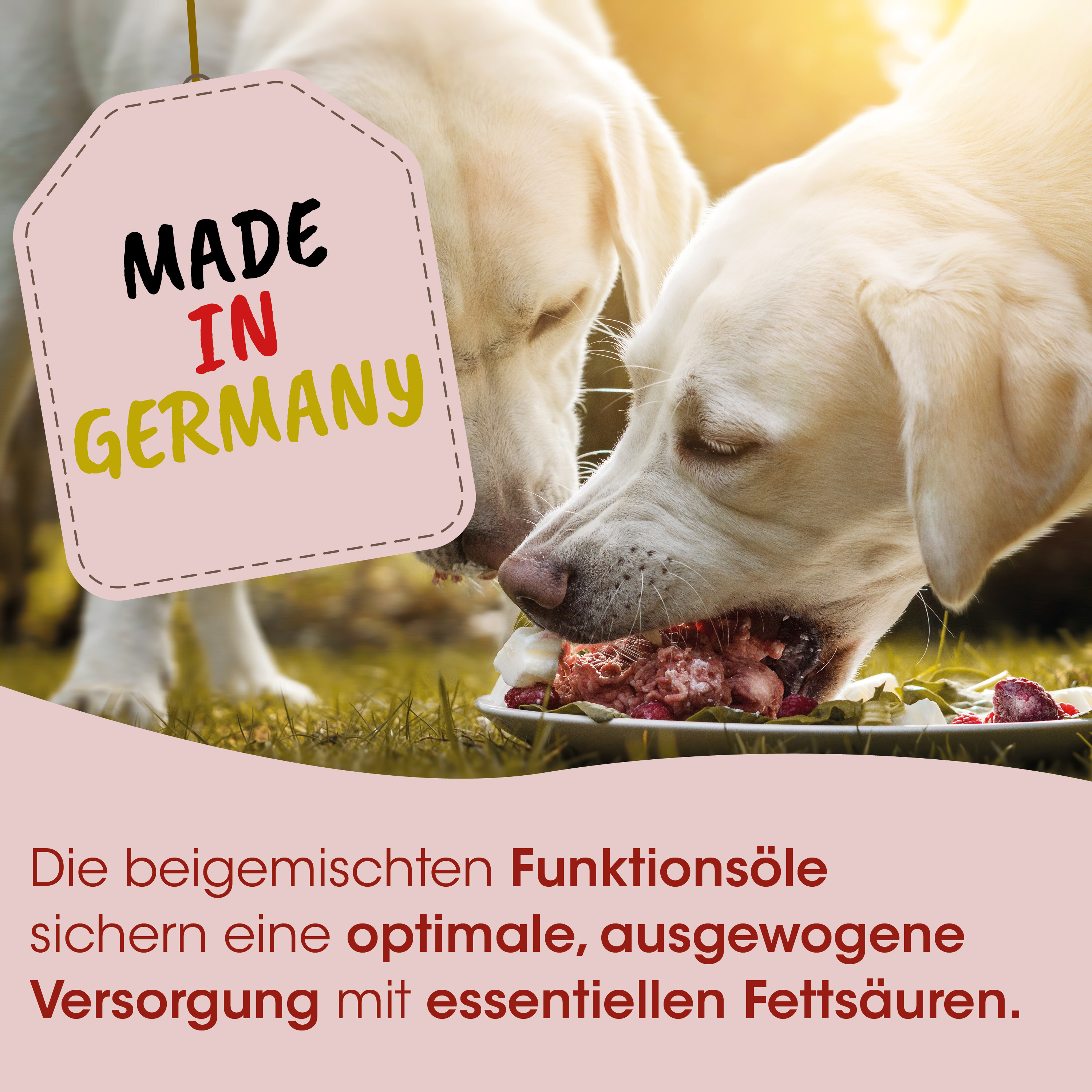 Hundernahrung,  Nassfutter,  Fleischstücke, Gelb/Labrador, Made in Germany