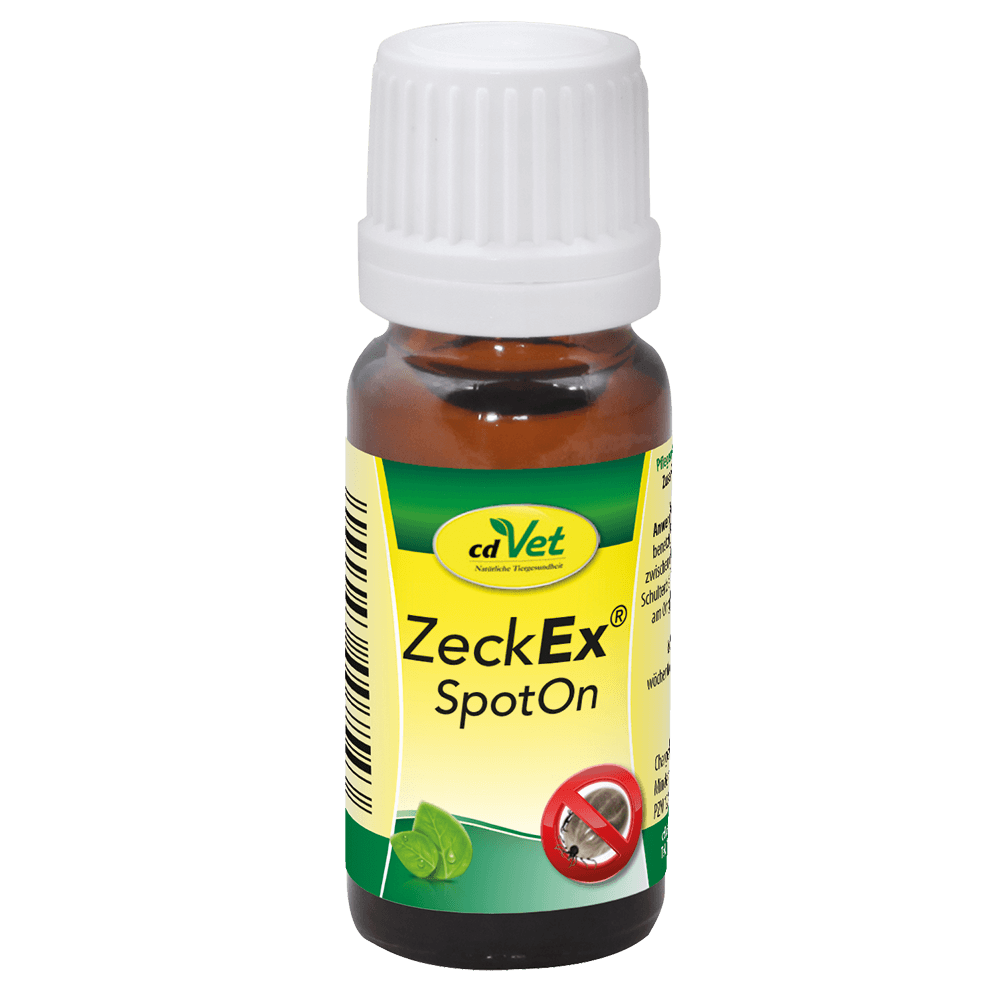 TiqueEx SpotOn