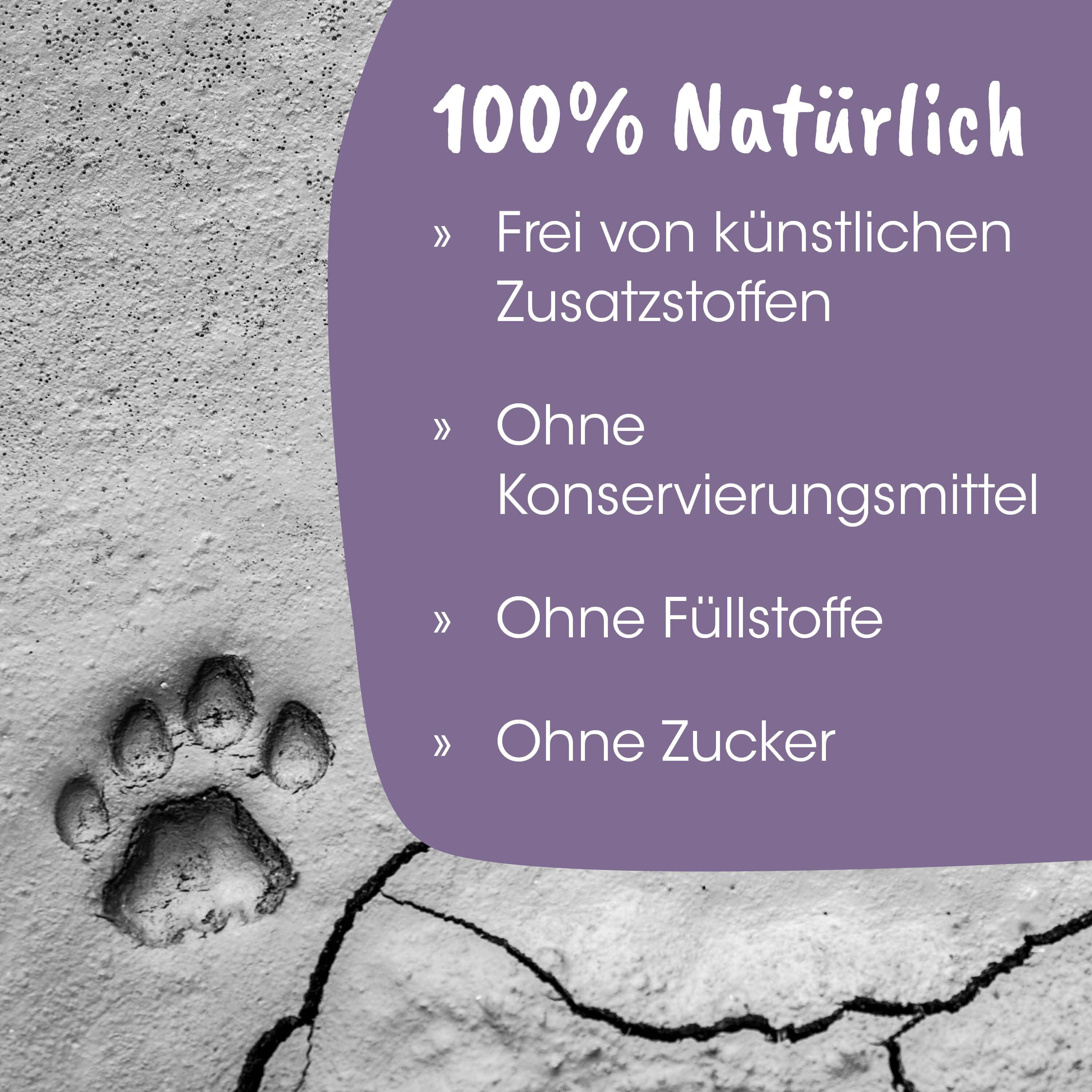 Pfote, Abdruck, Haustier, Druck, Steinwand