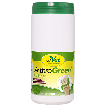ArthroGreen Collagène 600 g