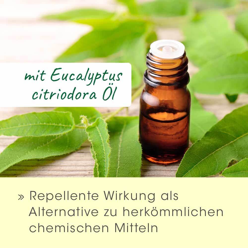 AcariensEx Nettoyant d'Oreilles