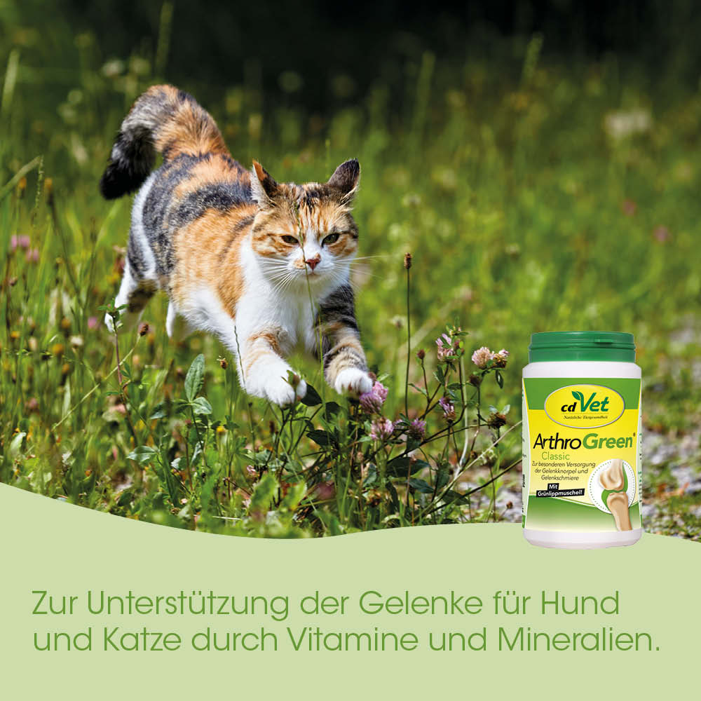Katze, Tierfutter, ArthroGreen, Vitamine, Mineralien