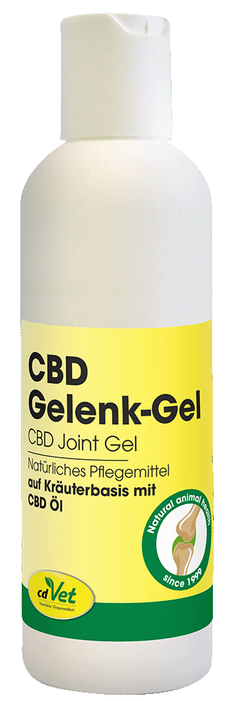 CBD Gel Articulaire 100 ml
