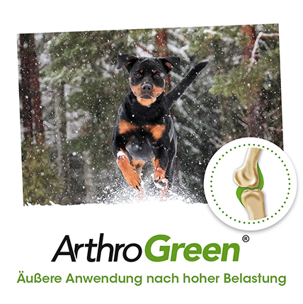 ArthroGreen Fluide Articulaire 200 ml