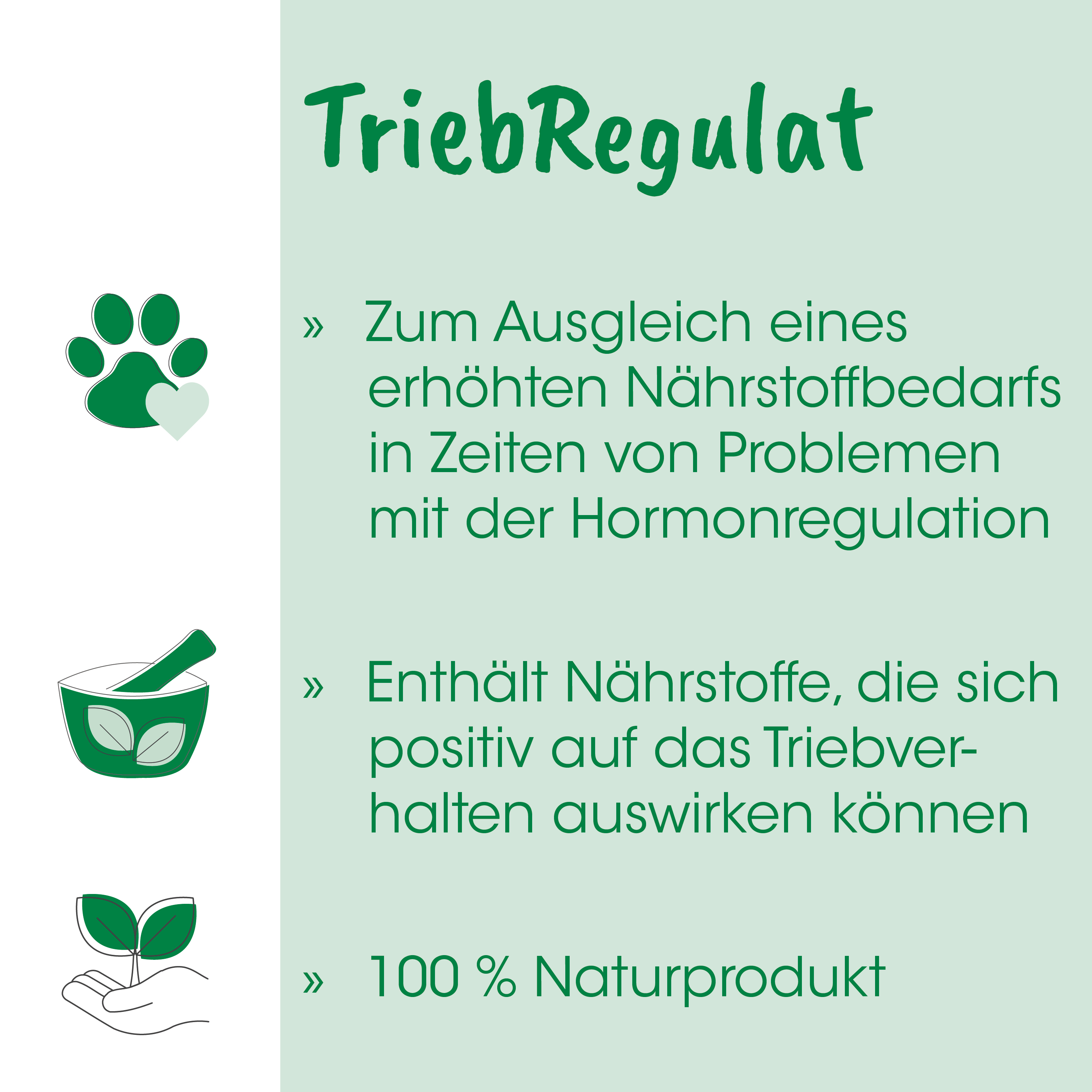 pflanze, blätter, hand, naturprodukt, topfpflanze