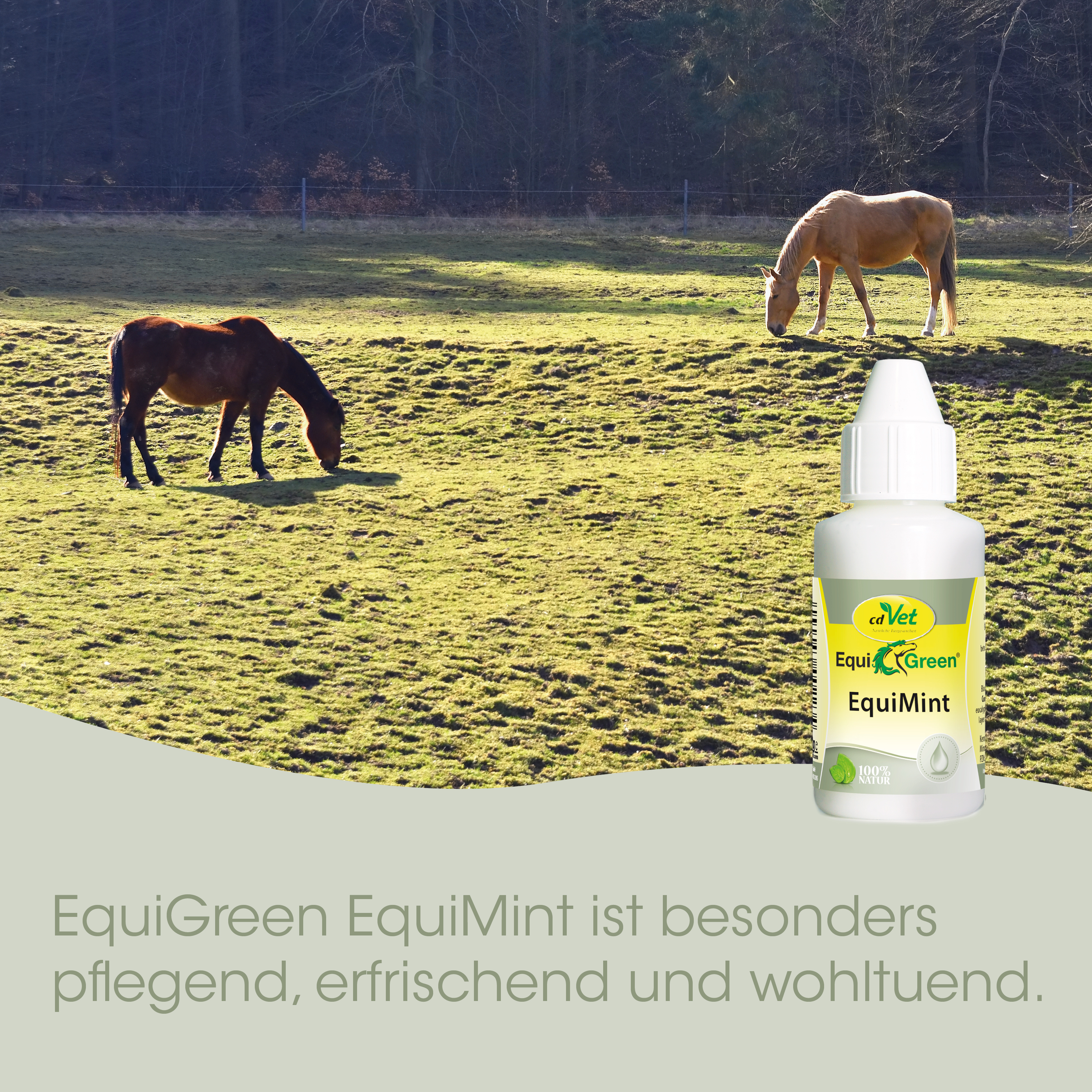 EquiGreen EquiMint 100 g