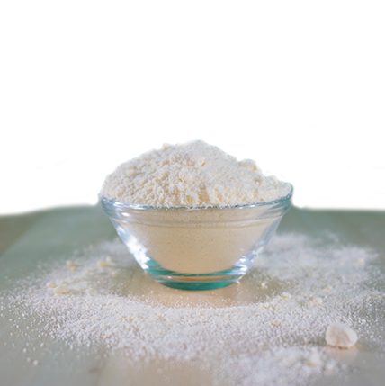 feliTATZ Lait de Chatons 350 g