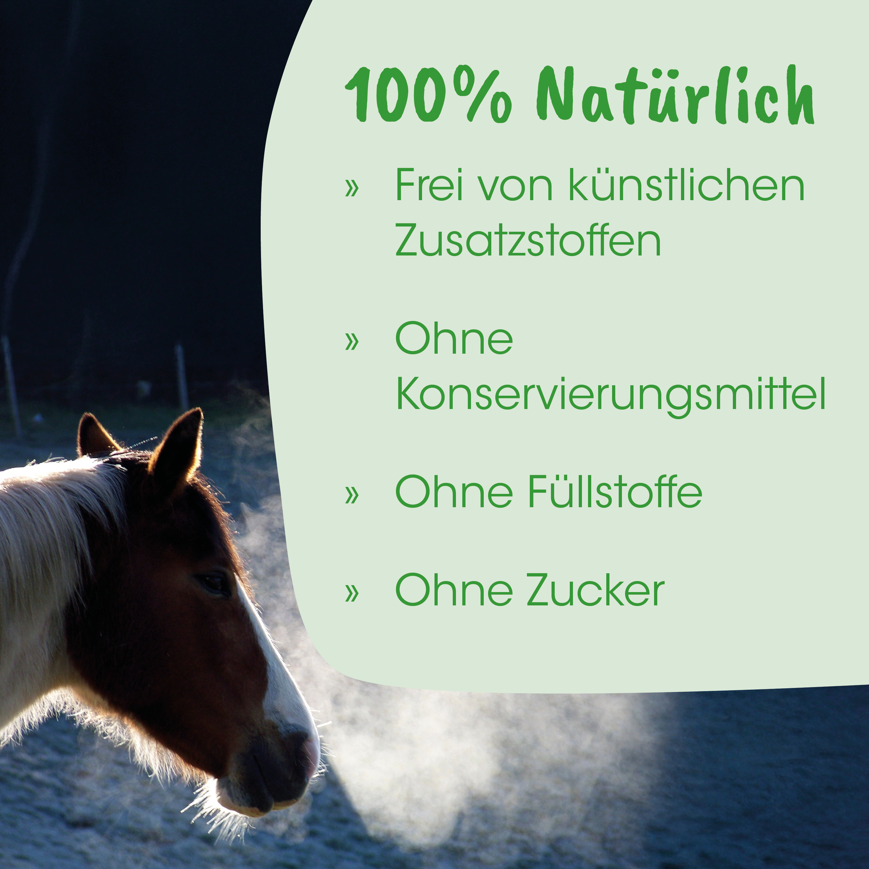 pferd, profil, fell, braun, mähne