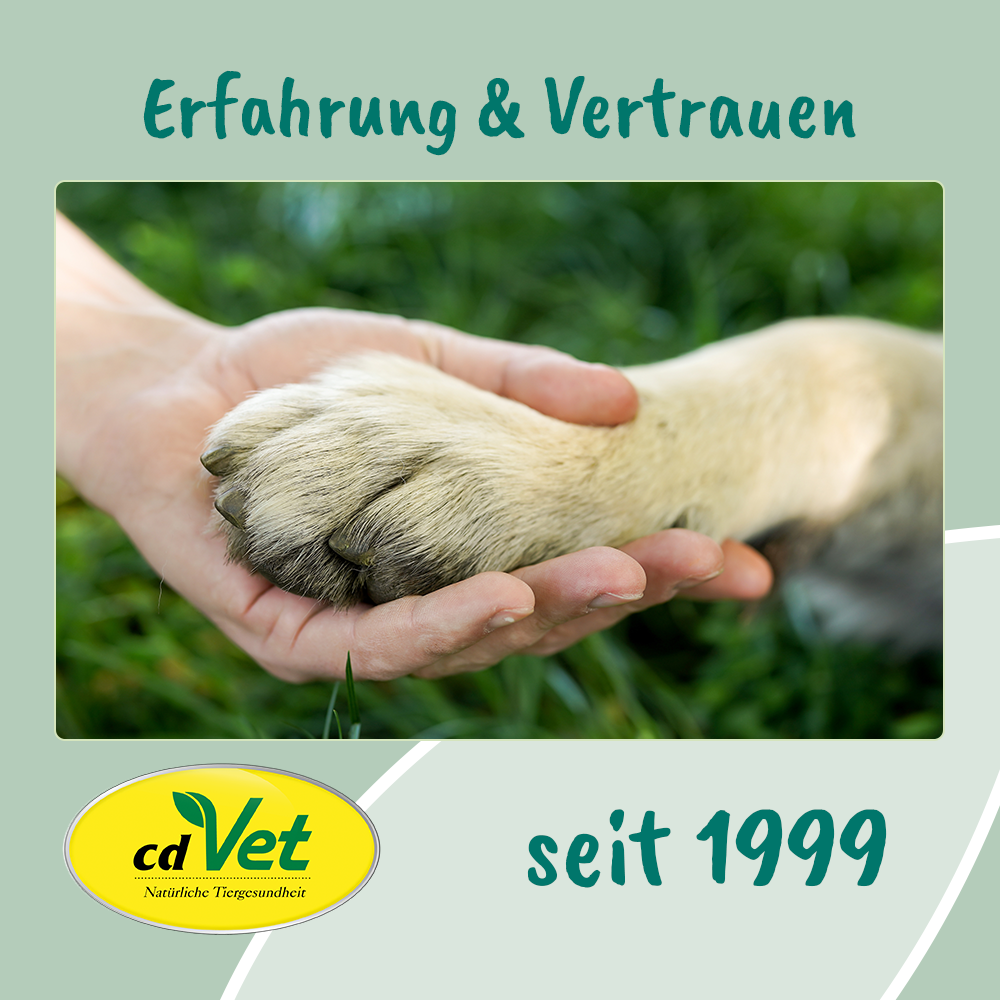 VeaVet Hépatique Rinçage d‘Oreille 100 ml