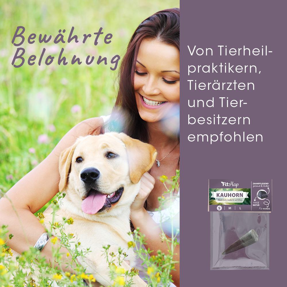 Fit-Hap Corne à Mâcher S