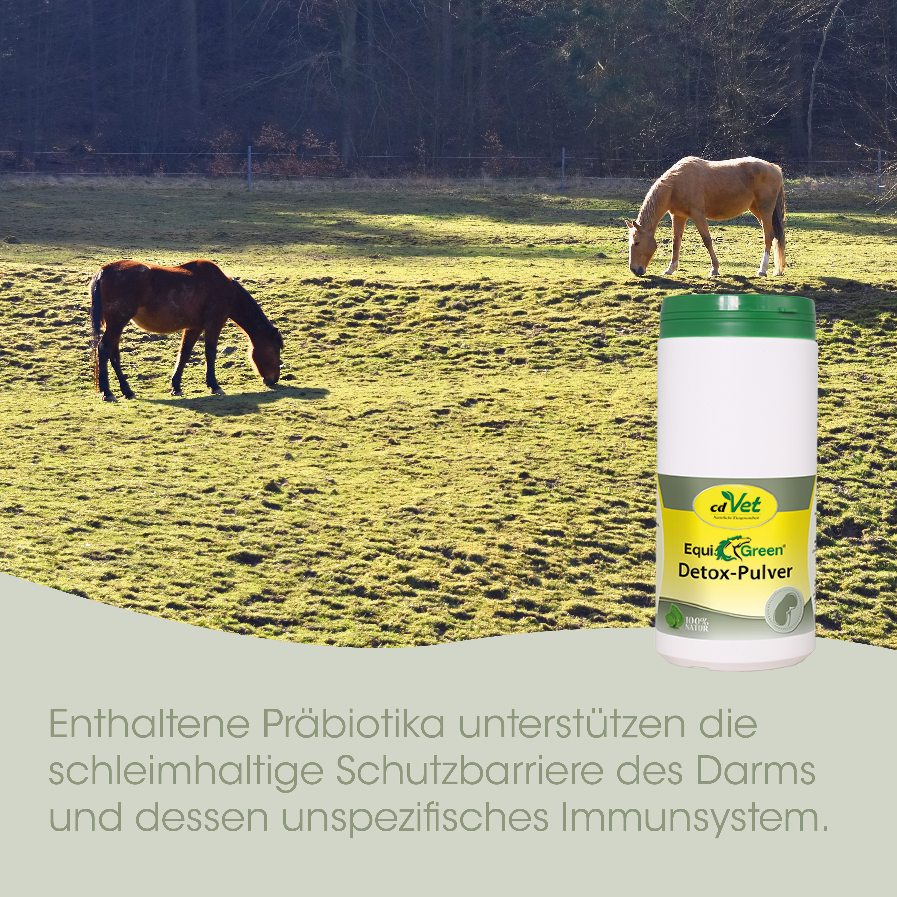 EquiGreen Pourdre de Detox 6 kg