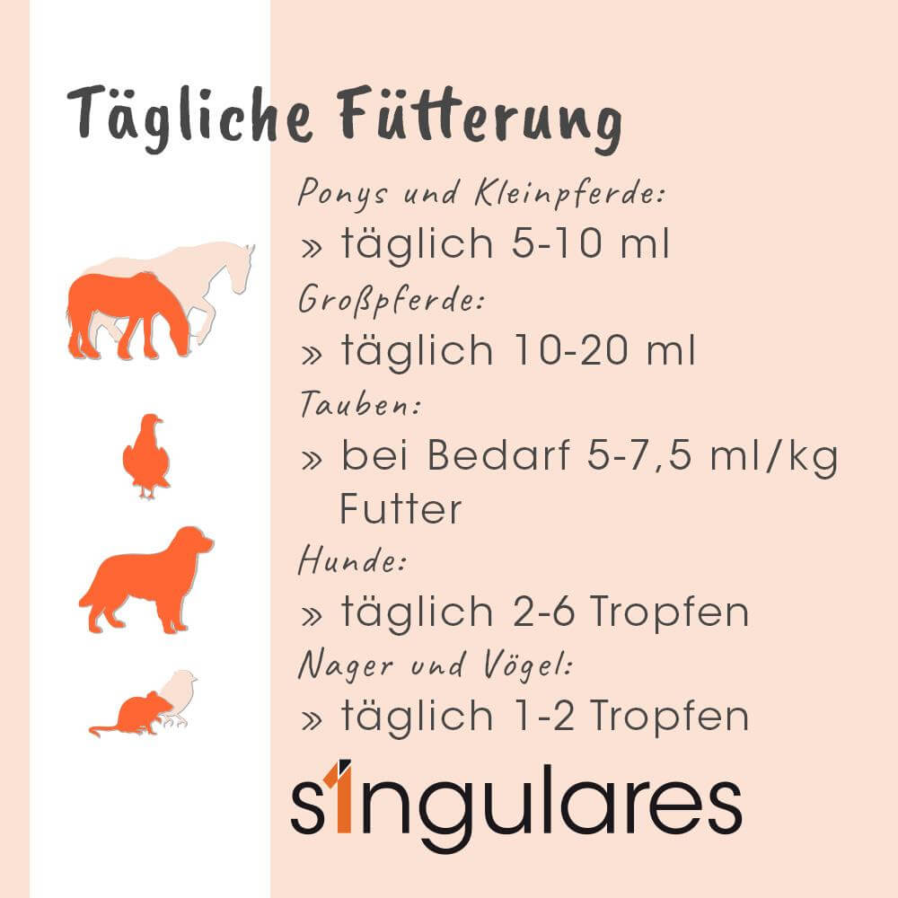 Singulares Huile de Cumin Noir Égyptien 100 ml