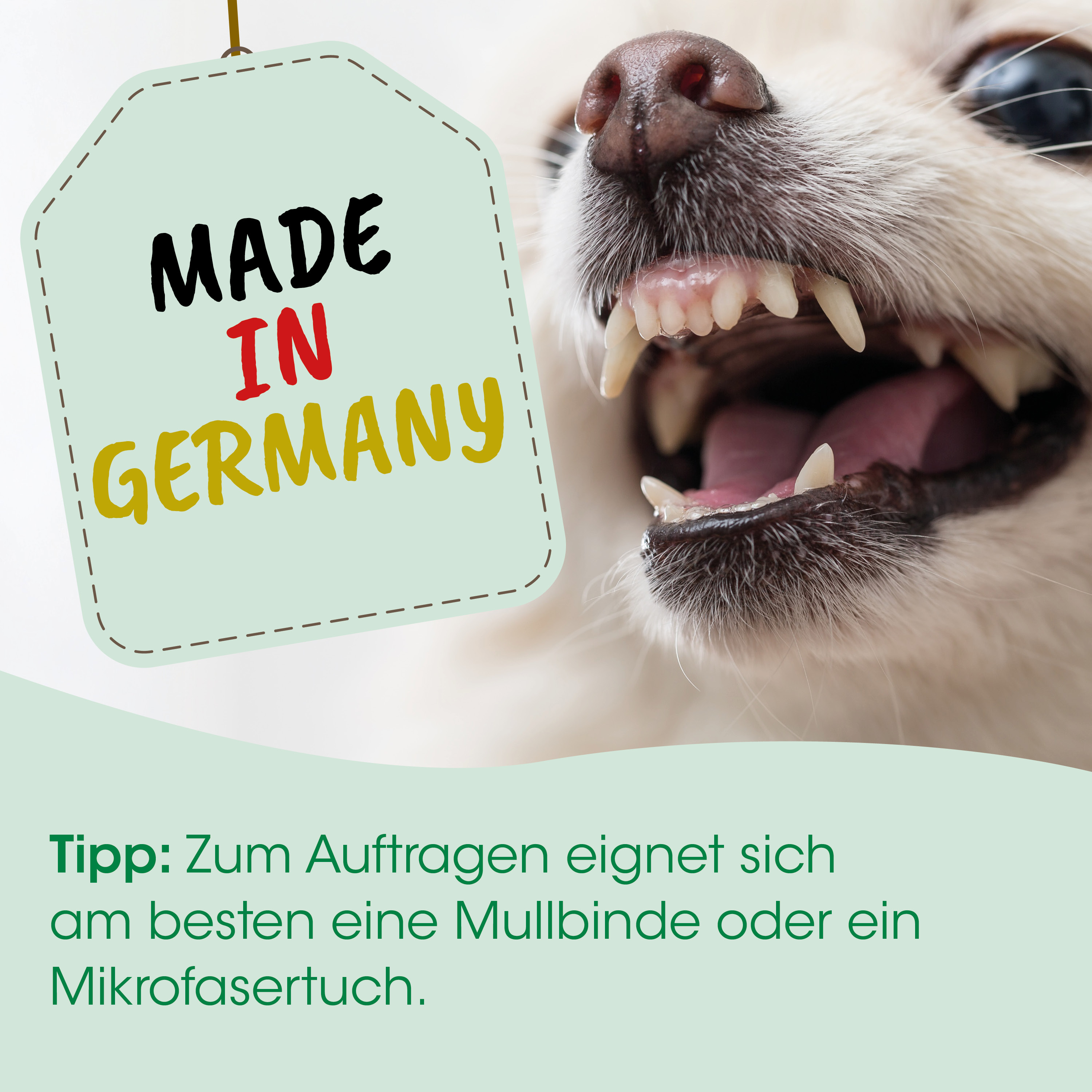 Hund, Zahn, Beißer, Mund, Deutschland
