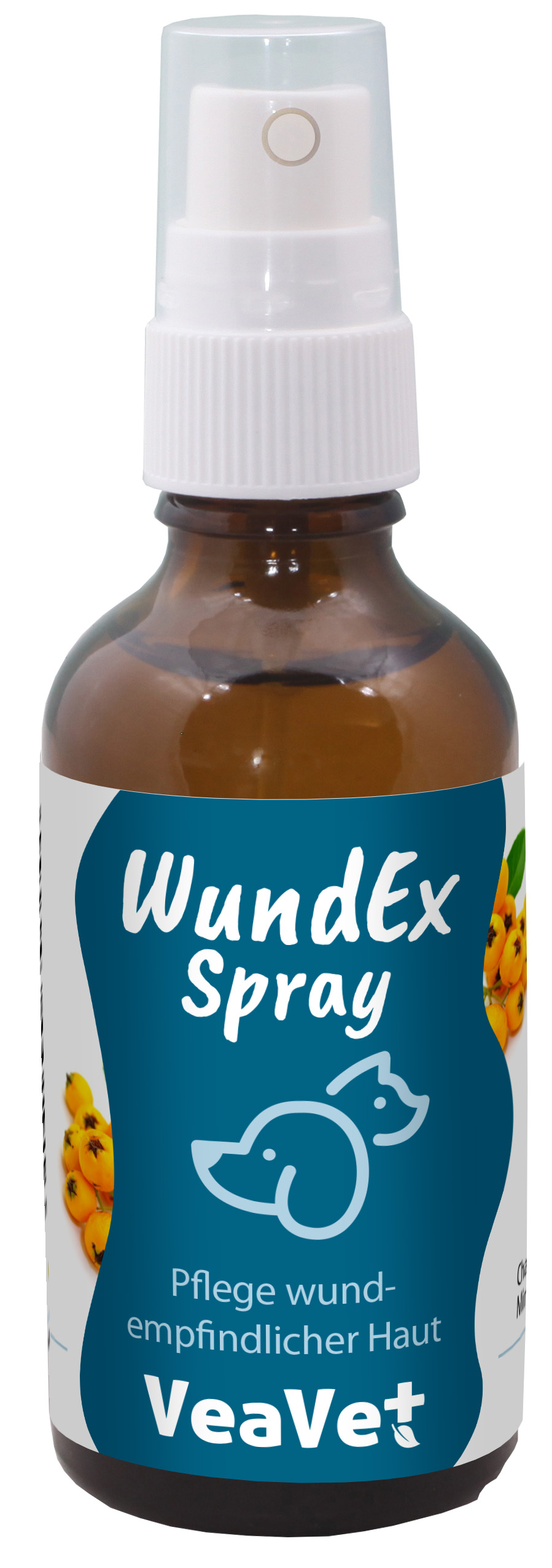 Kräuterig, Kräuter, Pflanze