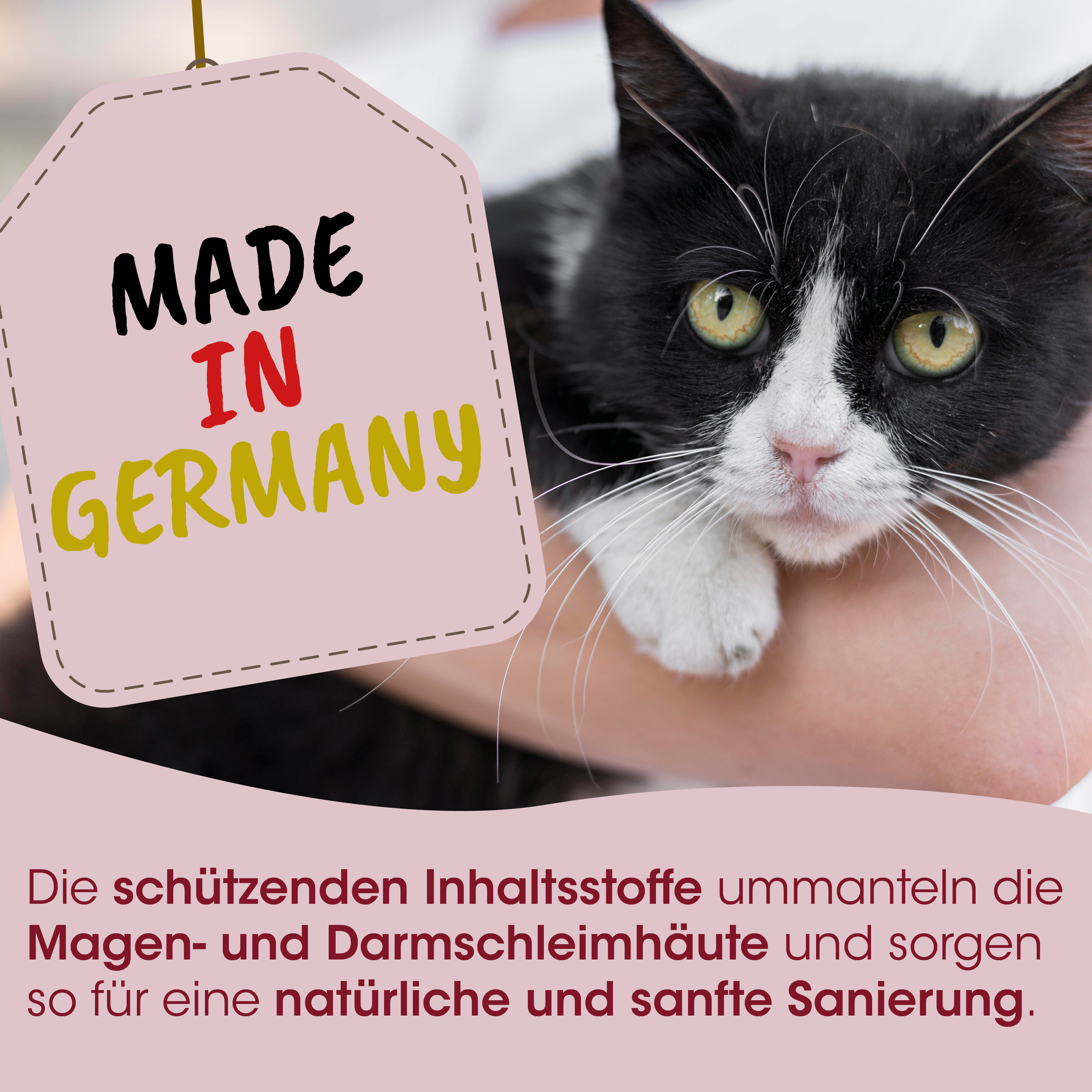 Katze, Schwarzweiß, Tierpflege, Haustier, Label Made in Germany