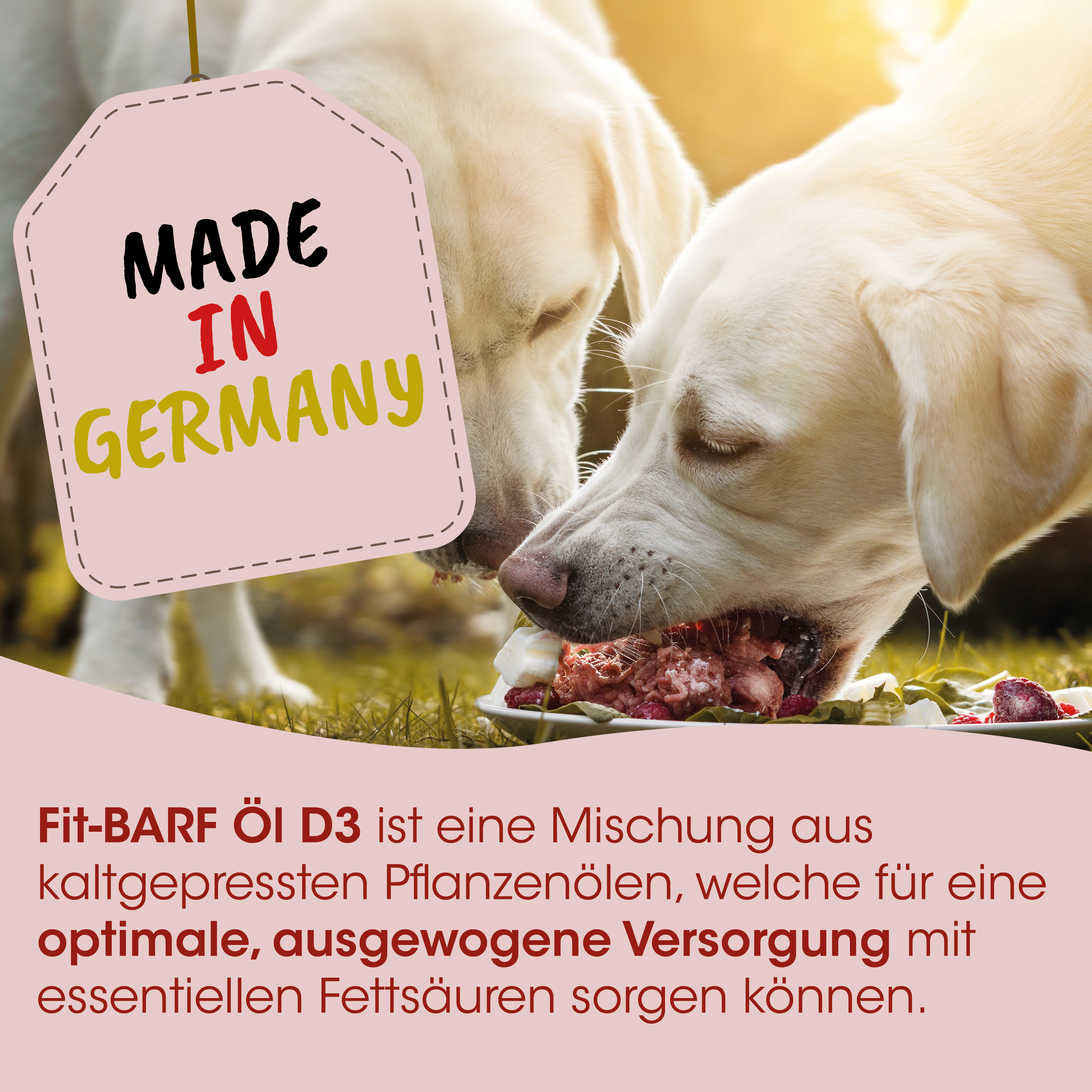 Hundefutter, Katzenfutter, Fleischplatte, Nassfutter, Made in Germany