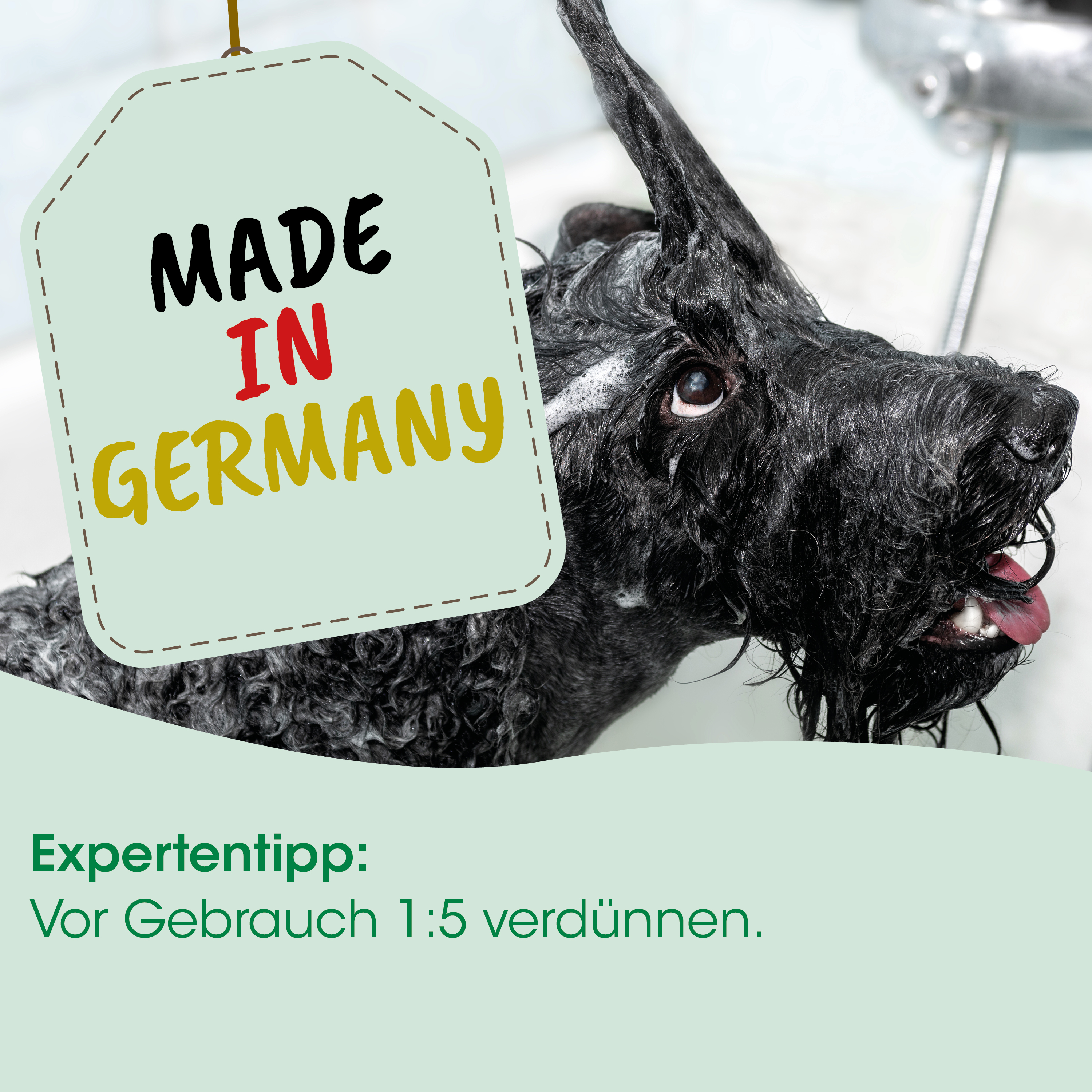 Hund, Hundeshampoo, nasser Hund, schwarzes Fell, made in Germany