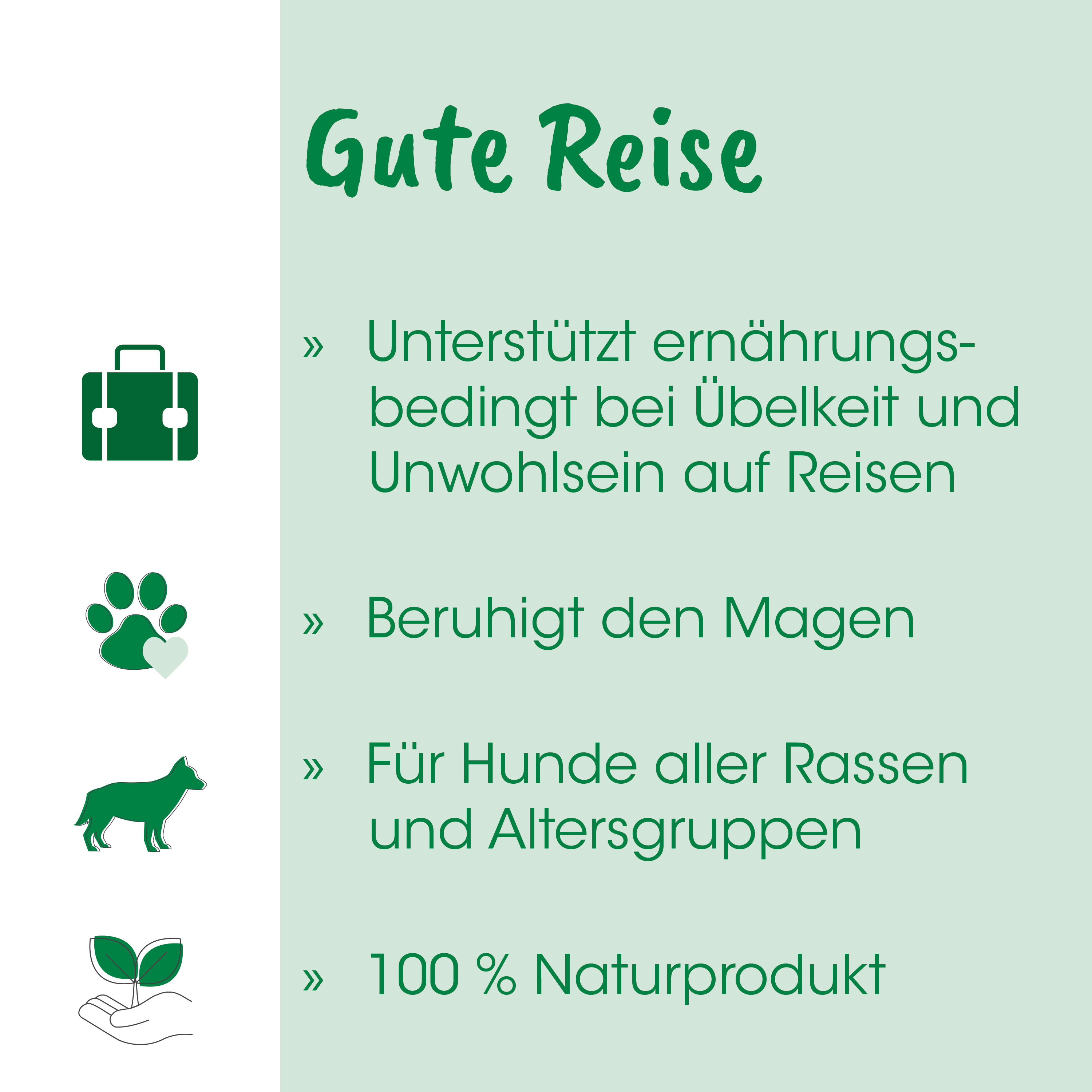 Hund, Öko, Natur, Pflanze, Pfote