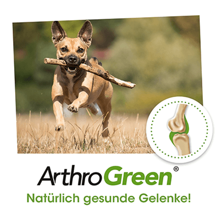 ArthroGreen Classique 100 capsules