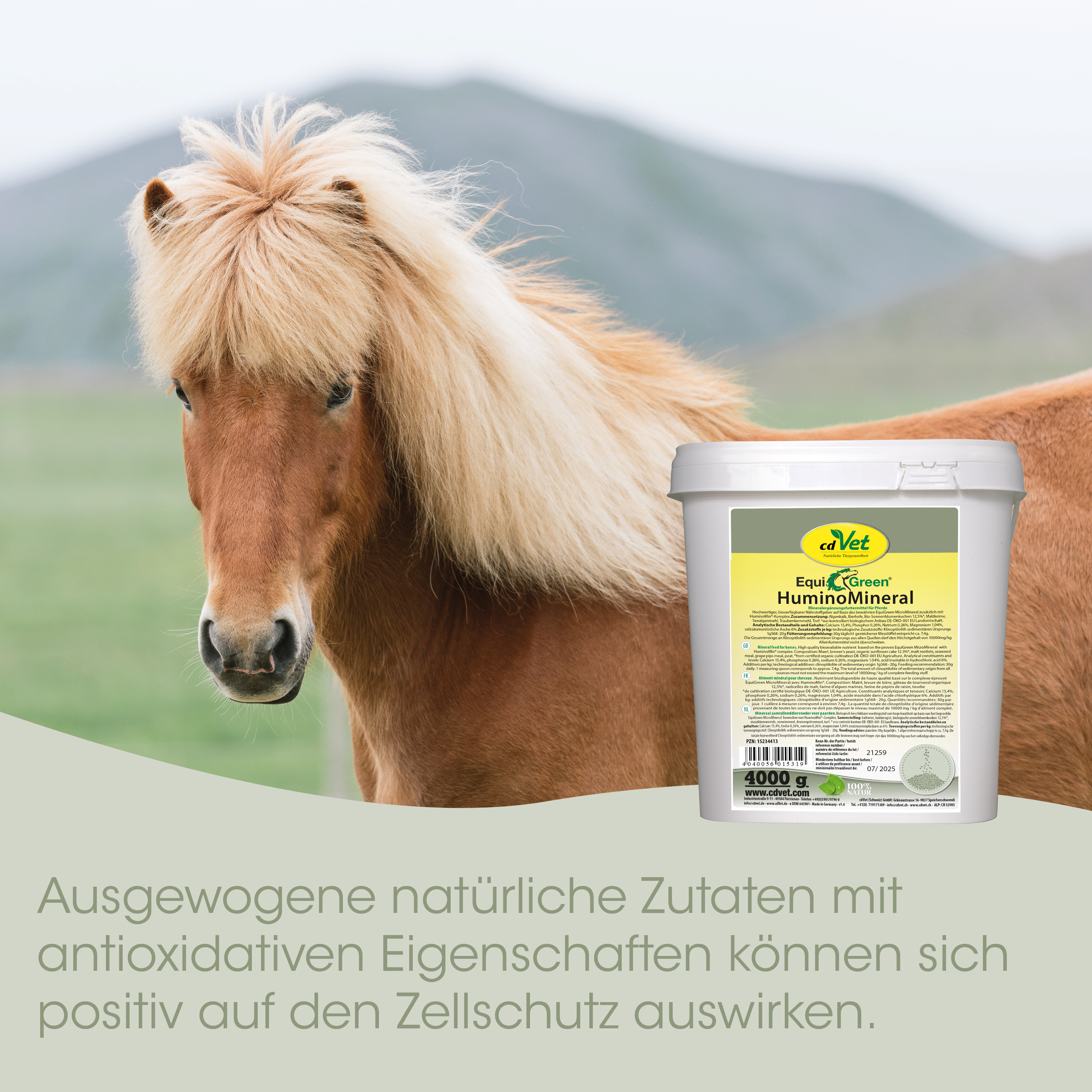 Pferd, Miniaturpferd, Fellfarbe, Palomino, Ergänzungsmittel
