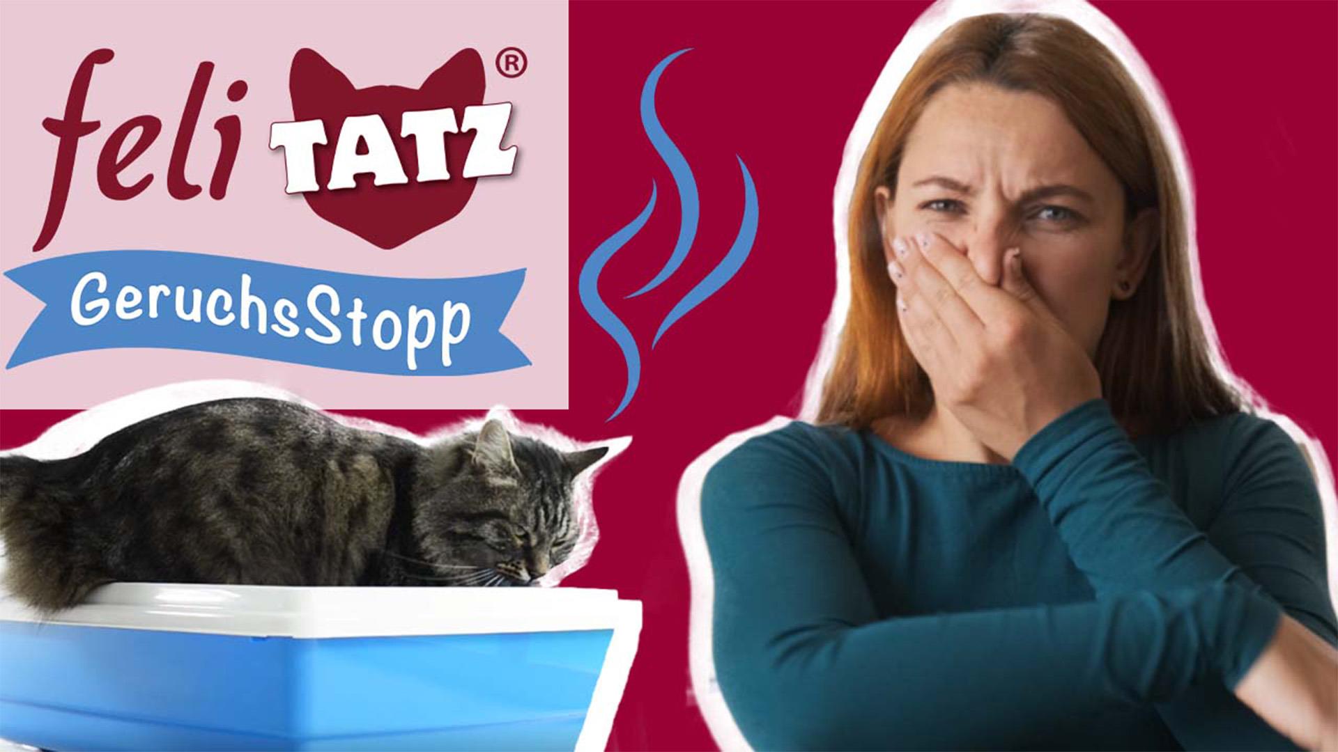 feliTATZ Stop Odeur 500 ml