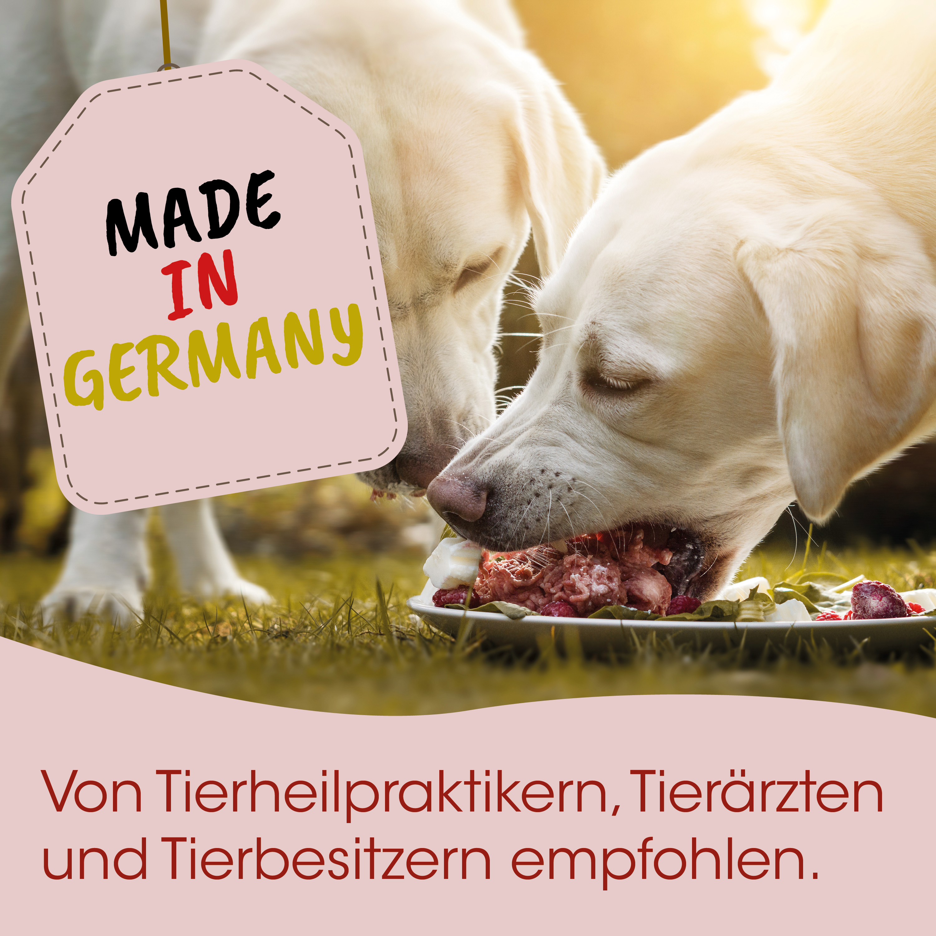 Hunde-Futter, Nassfutter, Rindfleisch, Hunde-Leckerlis, Made in Germany