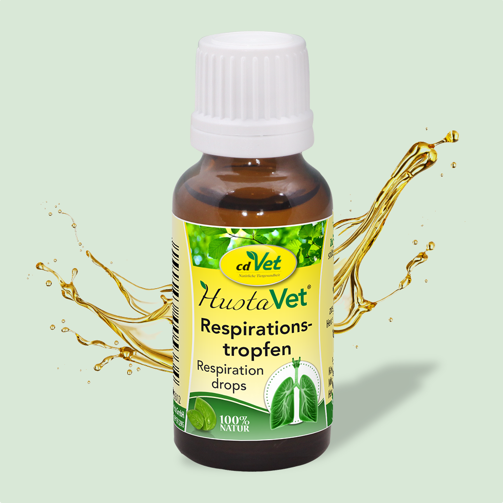 HustaVet gouttes de respiratoires