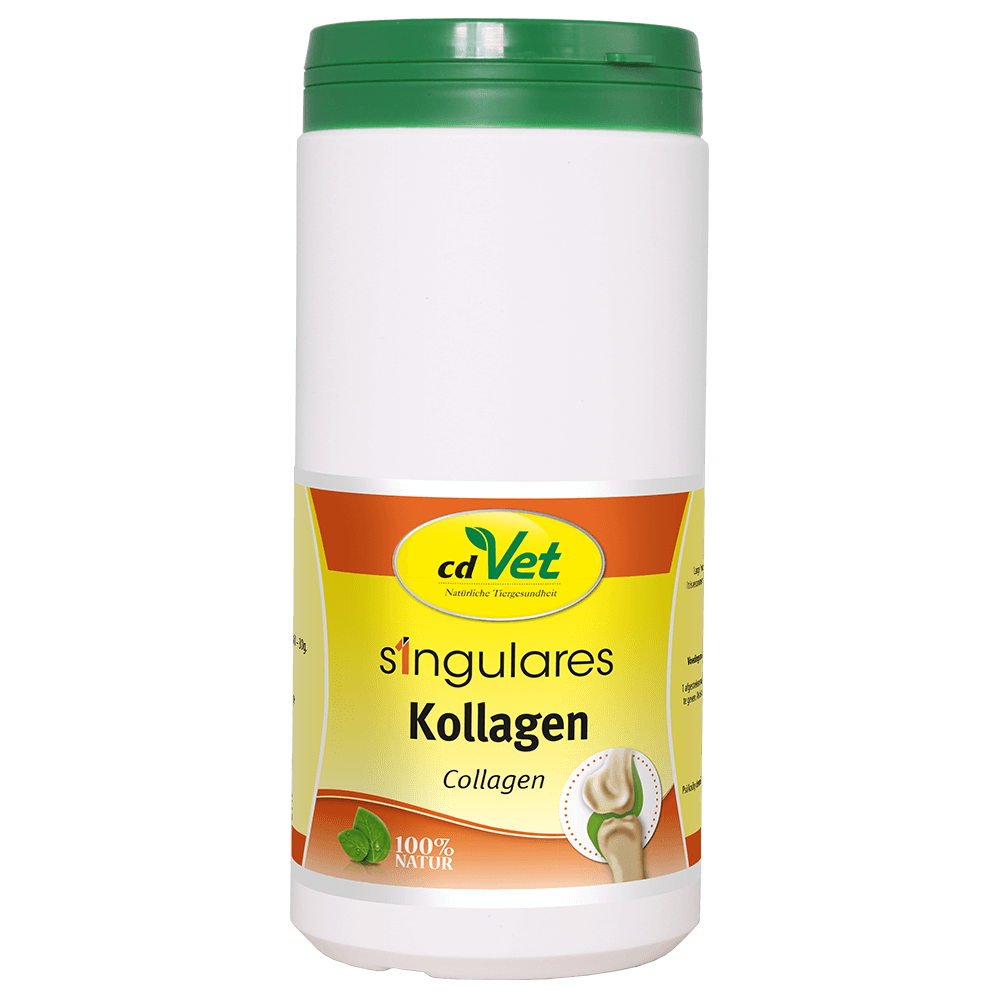 Singulares Collagène 500 g