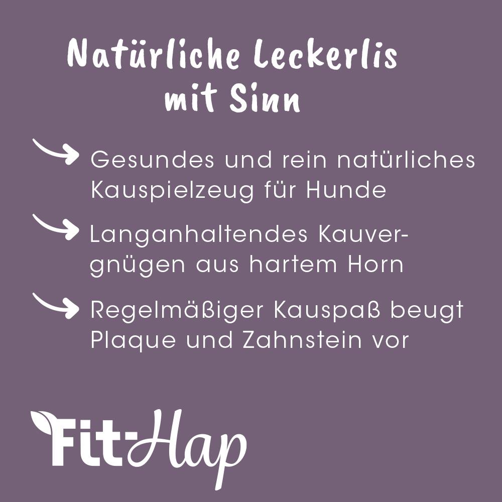 Fit-Hap Corne à Mâcher S