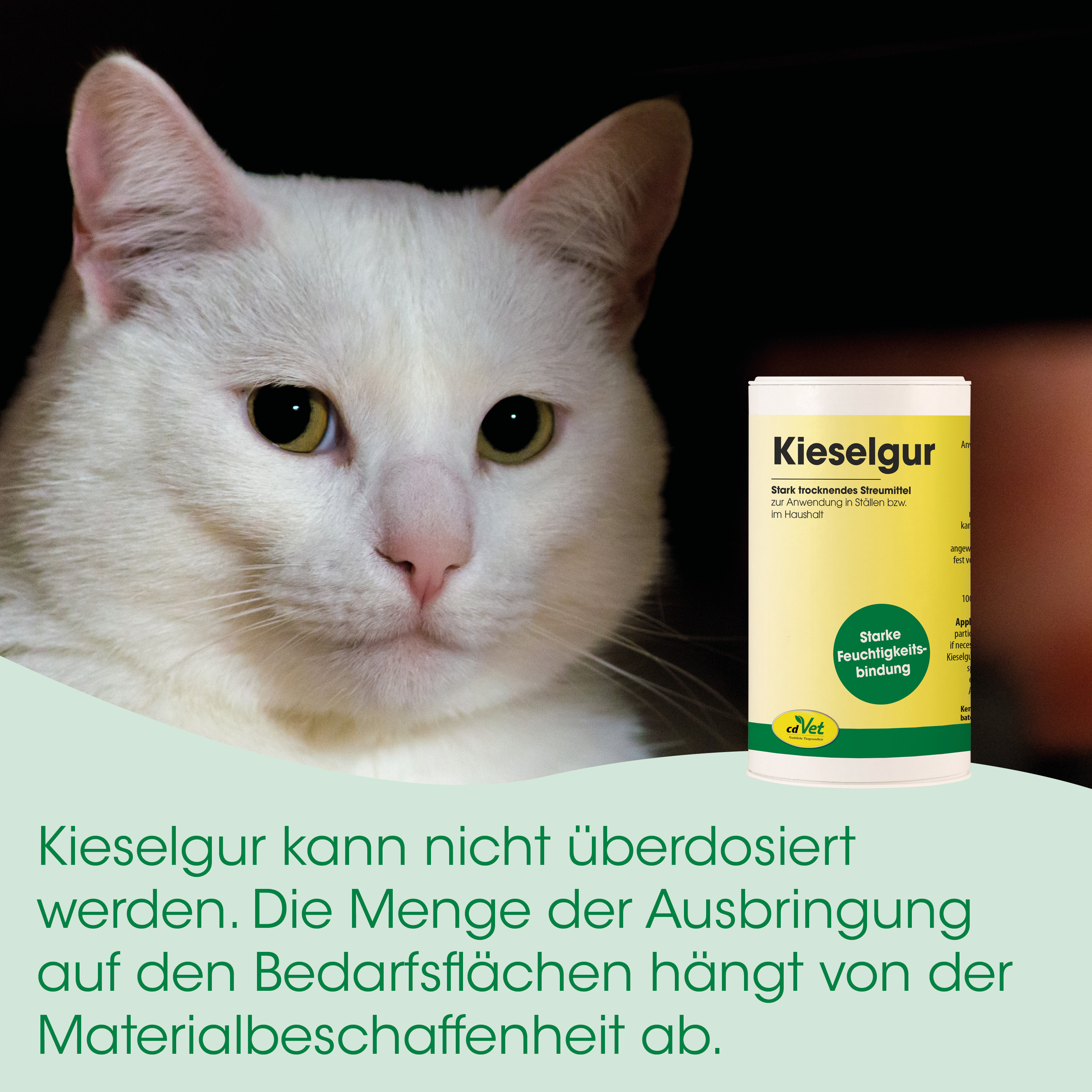 Katze, Katzenfutter, Kieselgur, Katzennahrung, Haustierprodukt