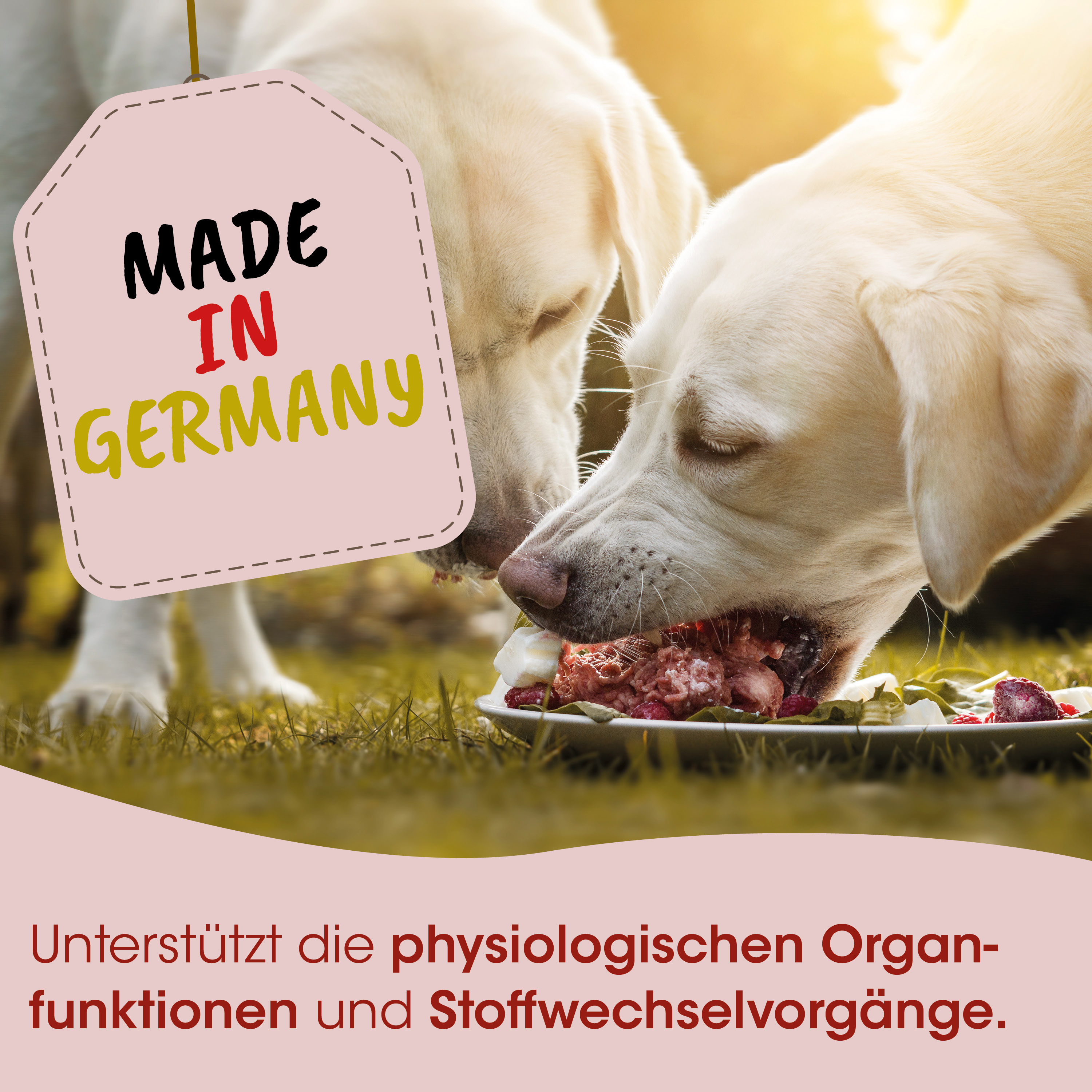 Hunde-Futter, Nassfutter, Rindfleisch, Knochen, Made in Germany