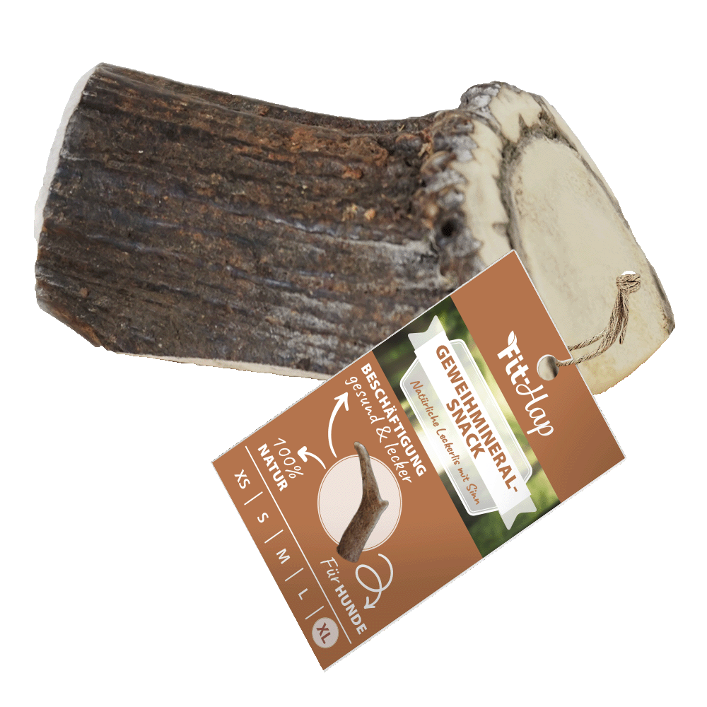 Fit-Hap Collation Minérale Antler XL (4 pièces)