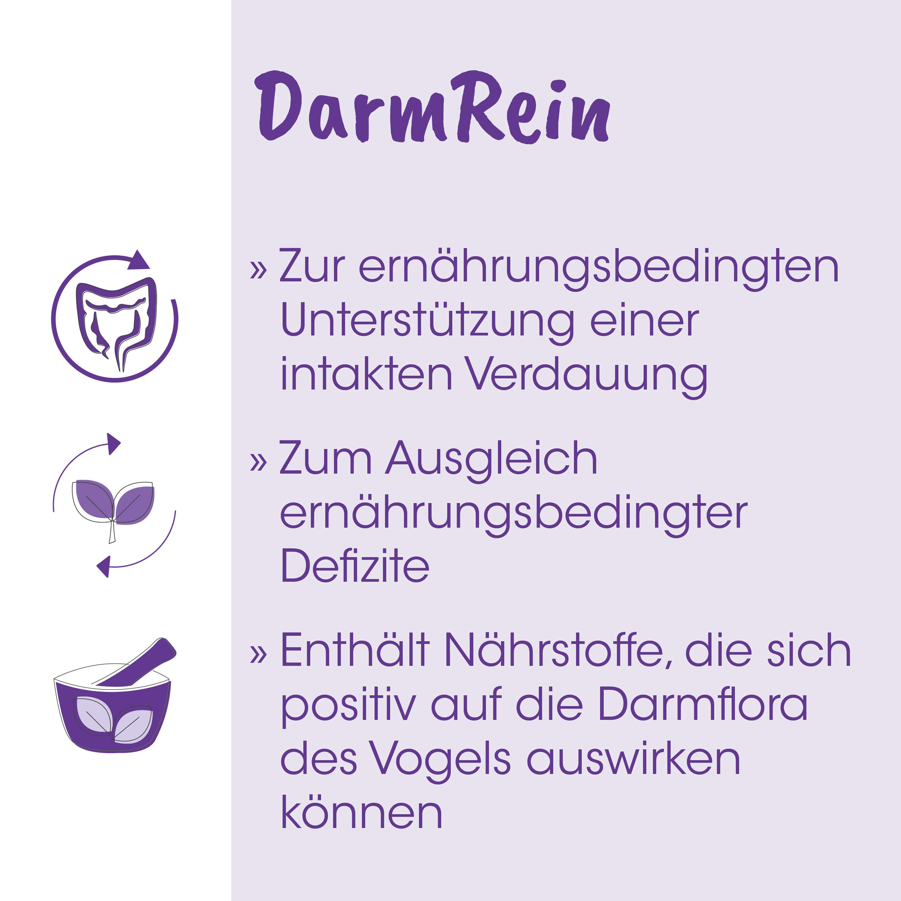 Darmrein, Verdauung, Nährstoffe, Darmflora, Kapsel