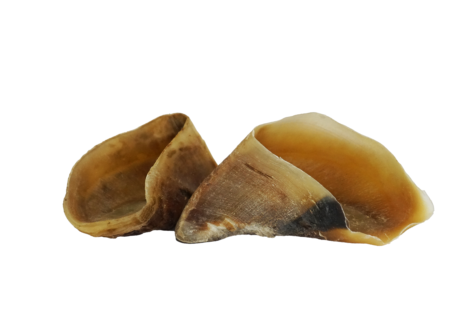 Fit-Hap Sabots des Bovins (5 pcs.)