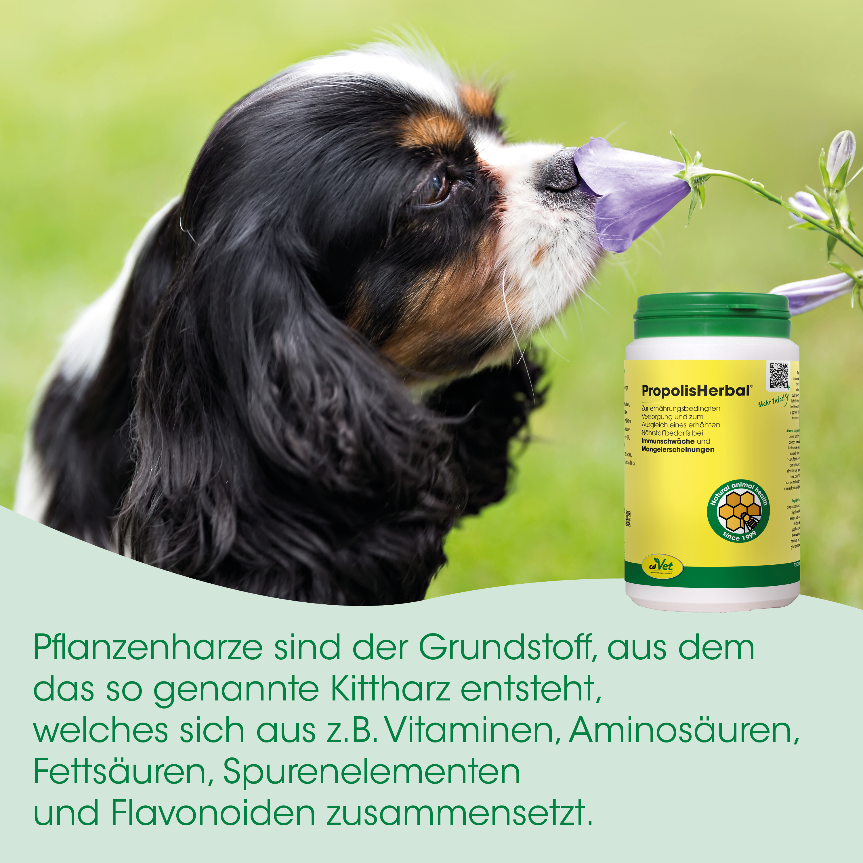 hund, tierzusatz, flasche, grüner deckel, pflanzenbasiert