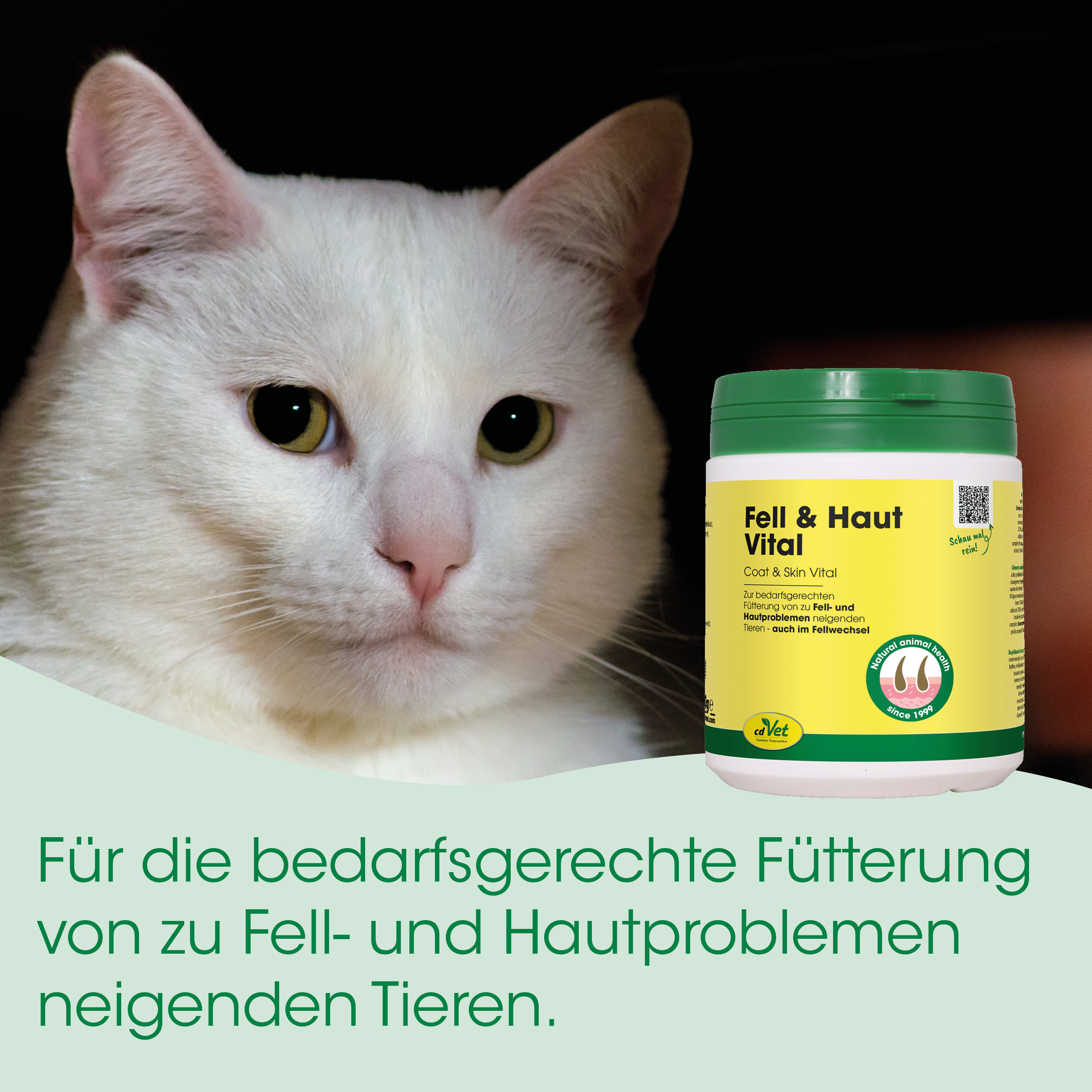 Katzenfutter, Fellpflege, Coat & Skin Vital, Gelbgrünes Etikett, Tiergesundheit