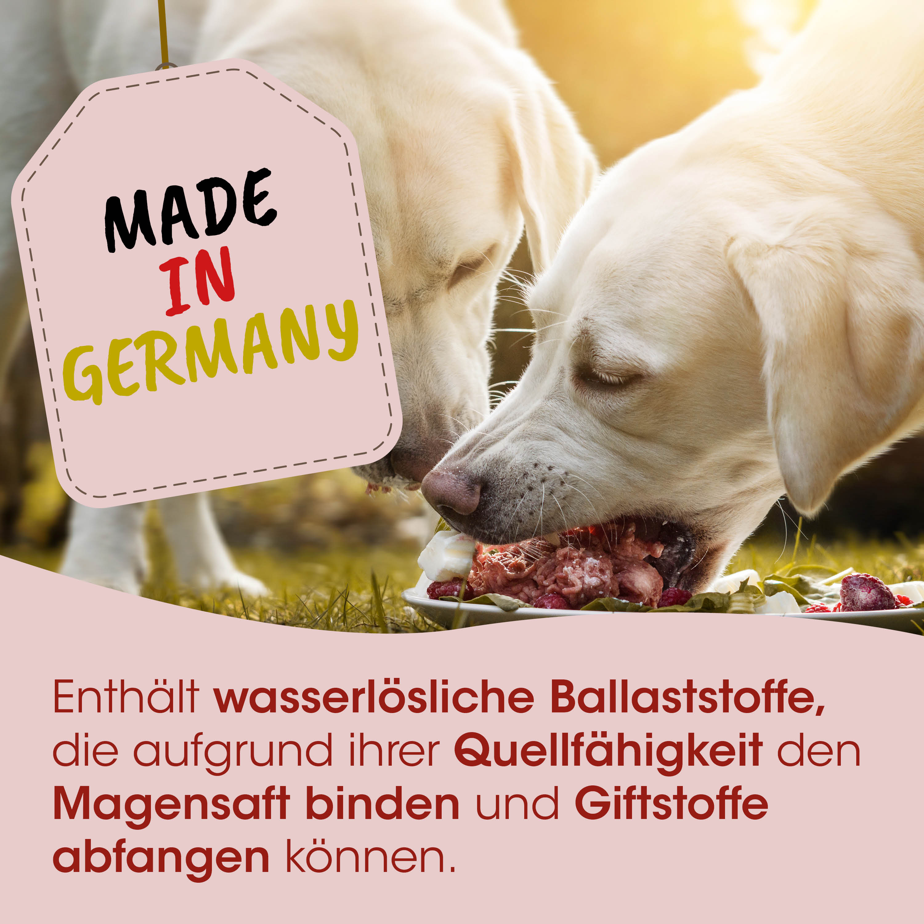 Hunde-Nassfutter, Fleischstücke, Schüsseln, Leckerlis, Made in Germany