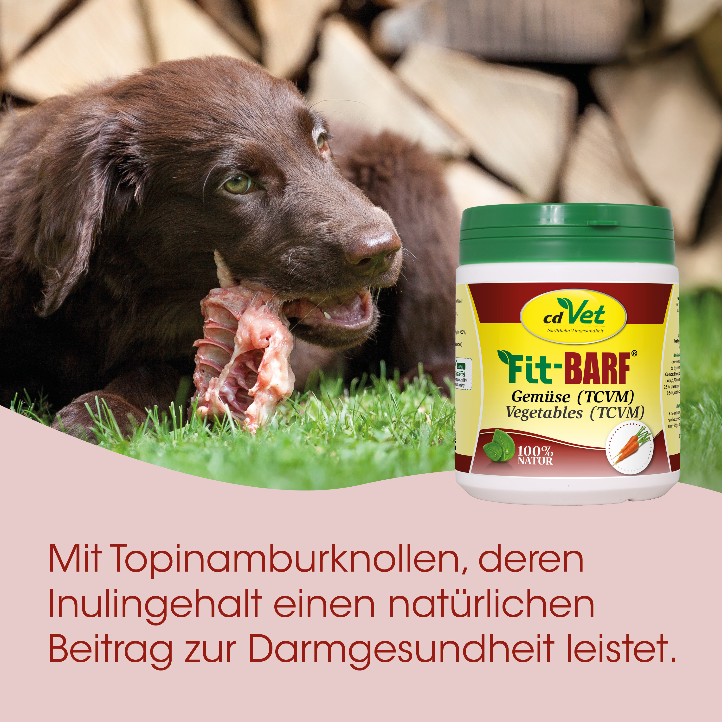 Hundefutter, Gemüseergänzung, Knochenfleisch, Trocken?, Pastetenform
