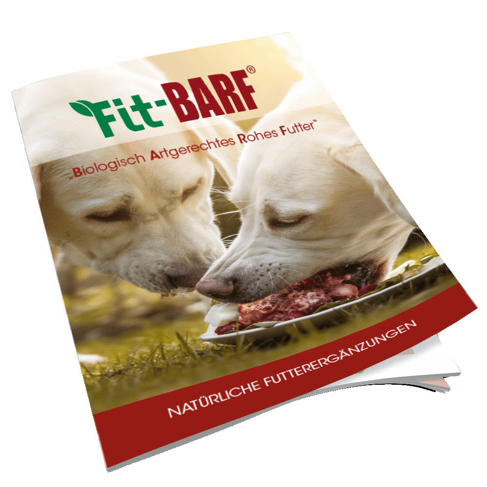 Broschüre Barf,52-seiter 210mm x 210mm