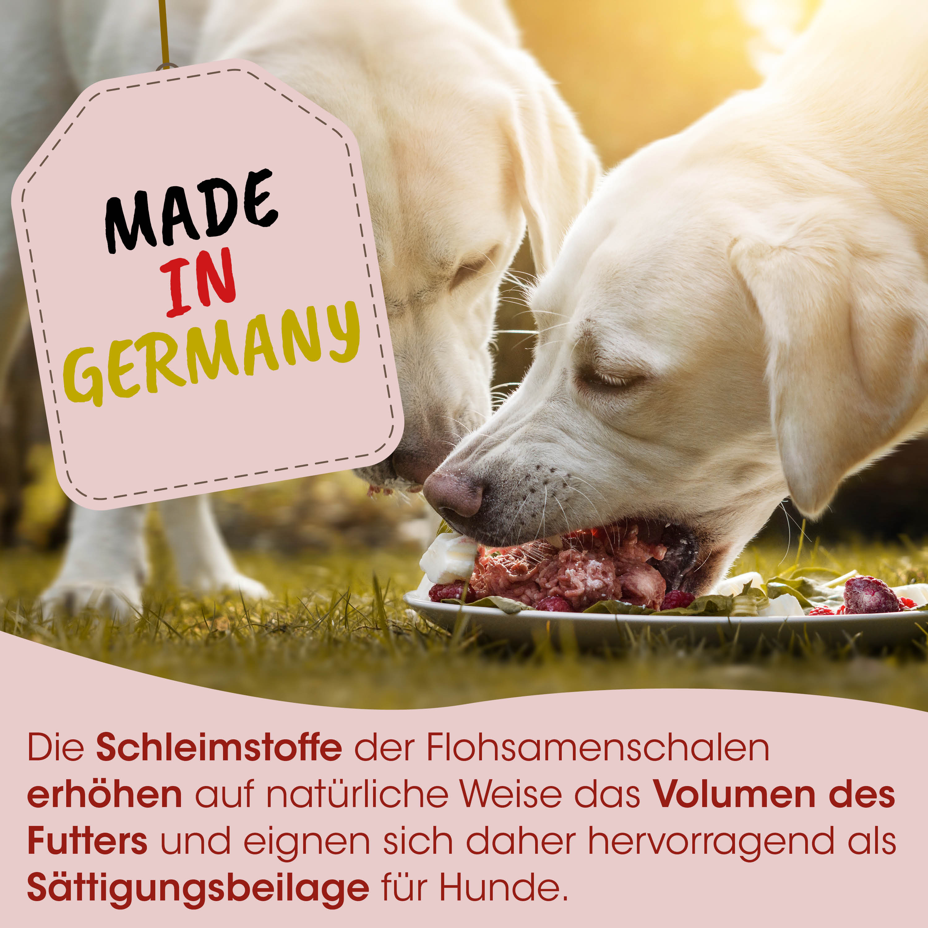 Hundefutter, Rindfleisch, Naturfutter, Schlemmstoffe, Sättigungsbeilage