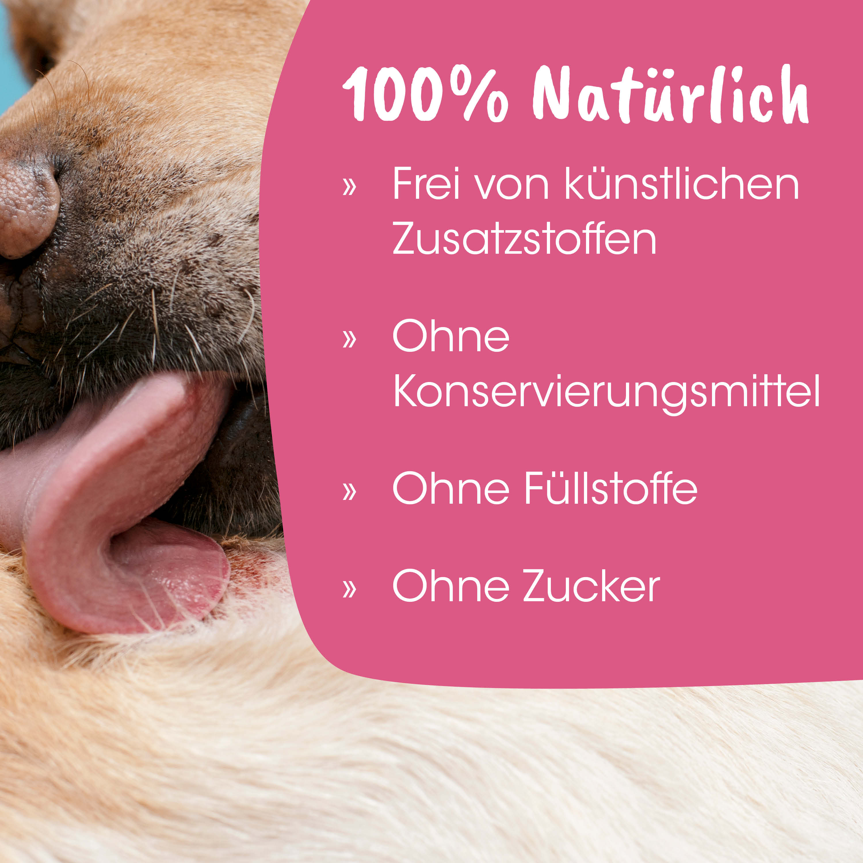 Hund, Hundeschnauze, Zunge, Fell,  pinkes Schild